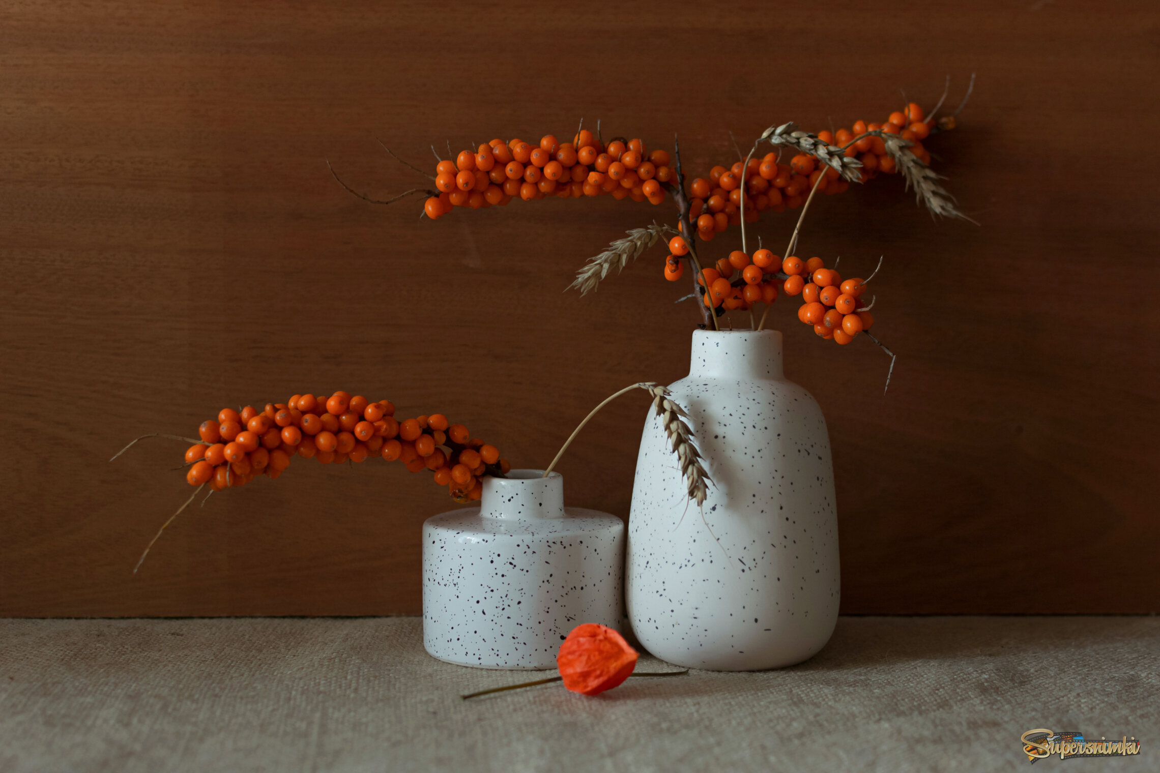 Облепиха...Рыжих ягод красота....