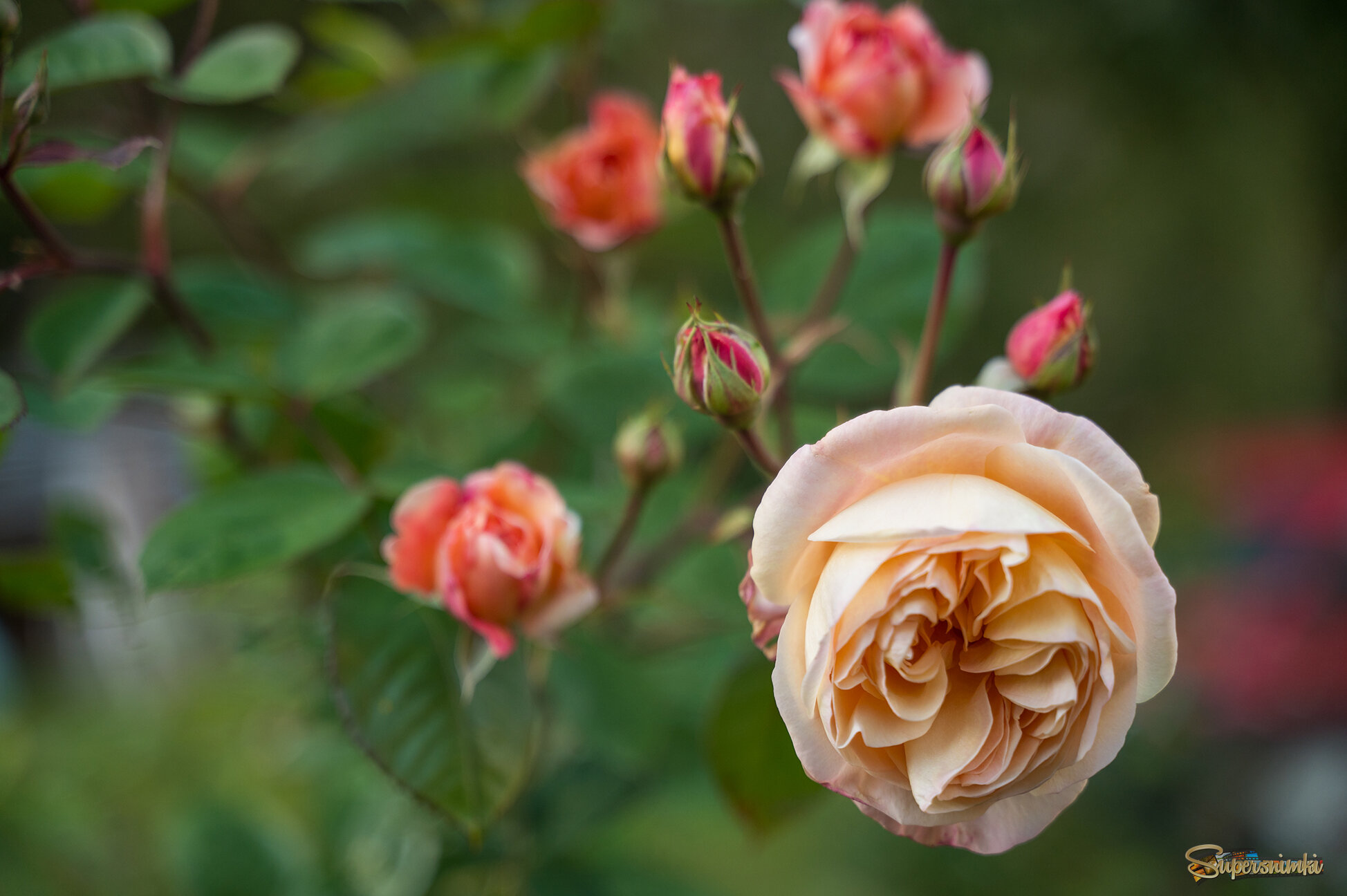 68e742e1c1ec168766594934