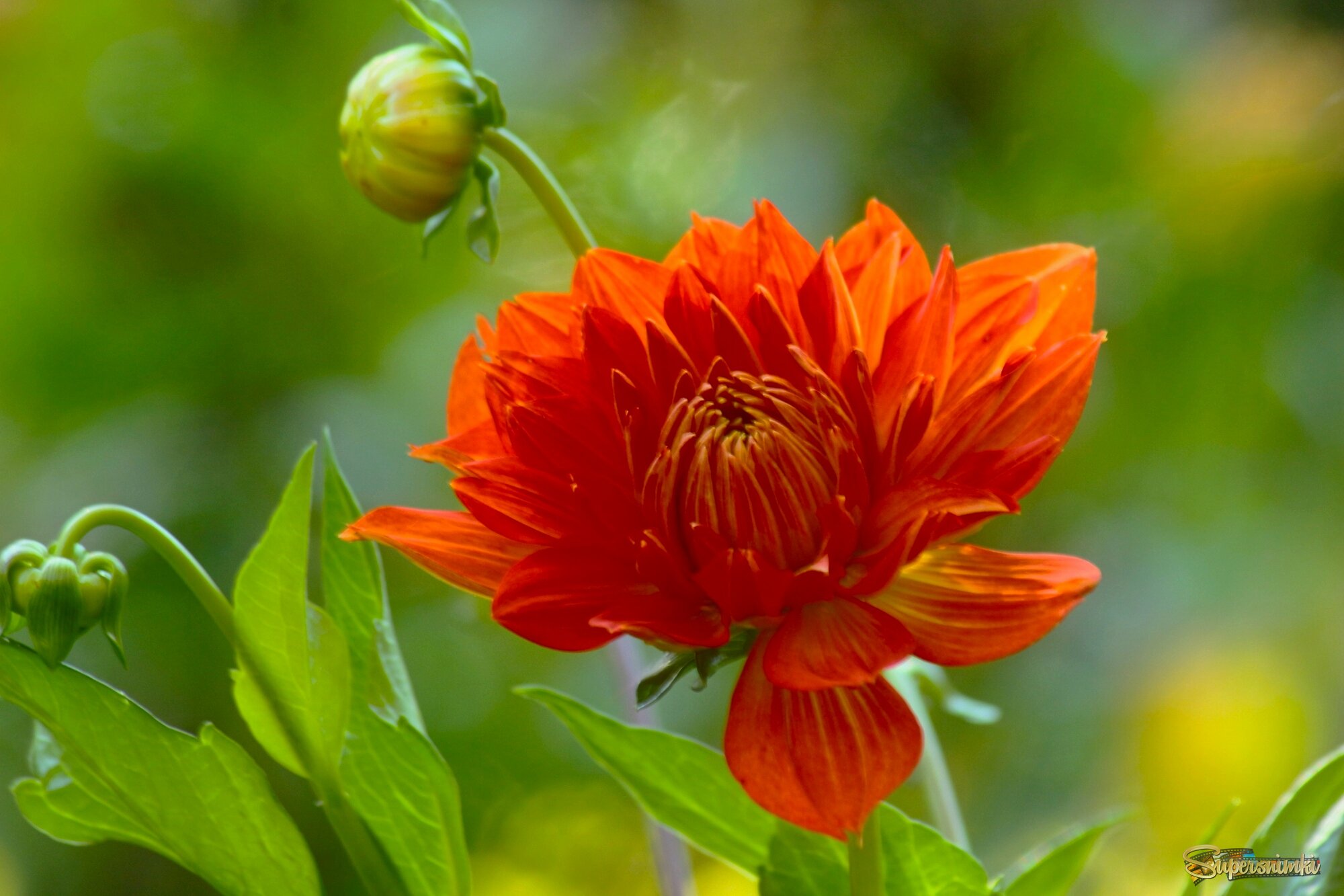 Доброе утро