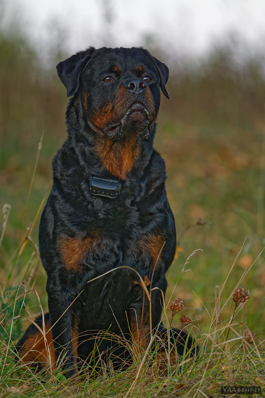 Жастин.  Сентябрь, 6 лет назад...