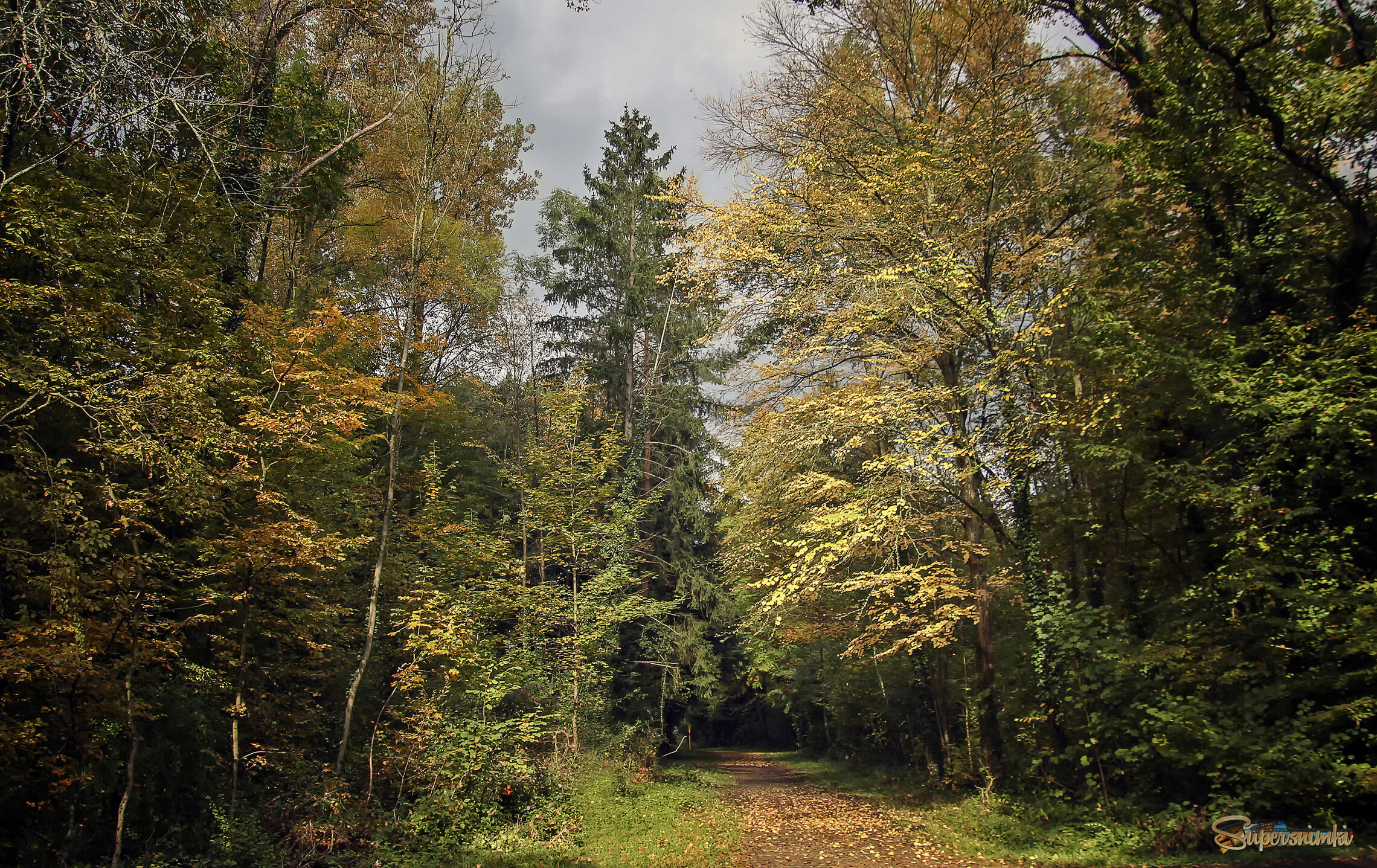 В лесопарке