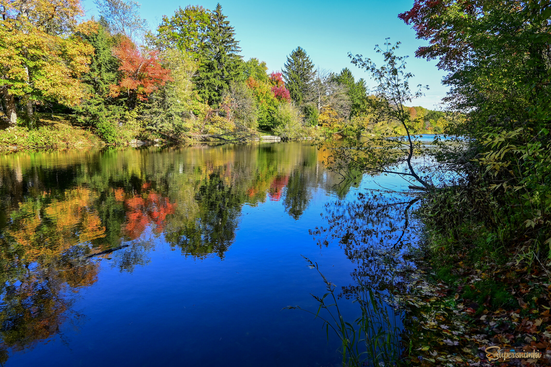 Отражая неба синеву