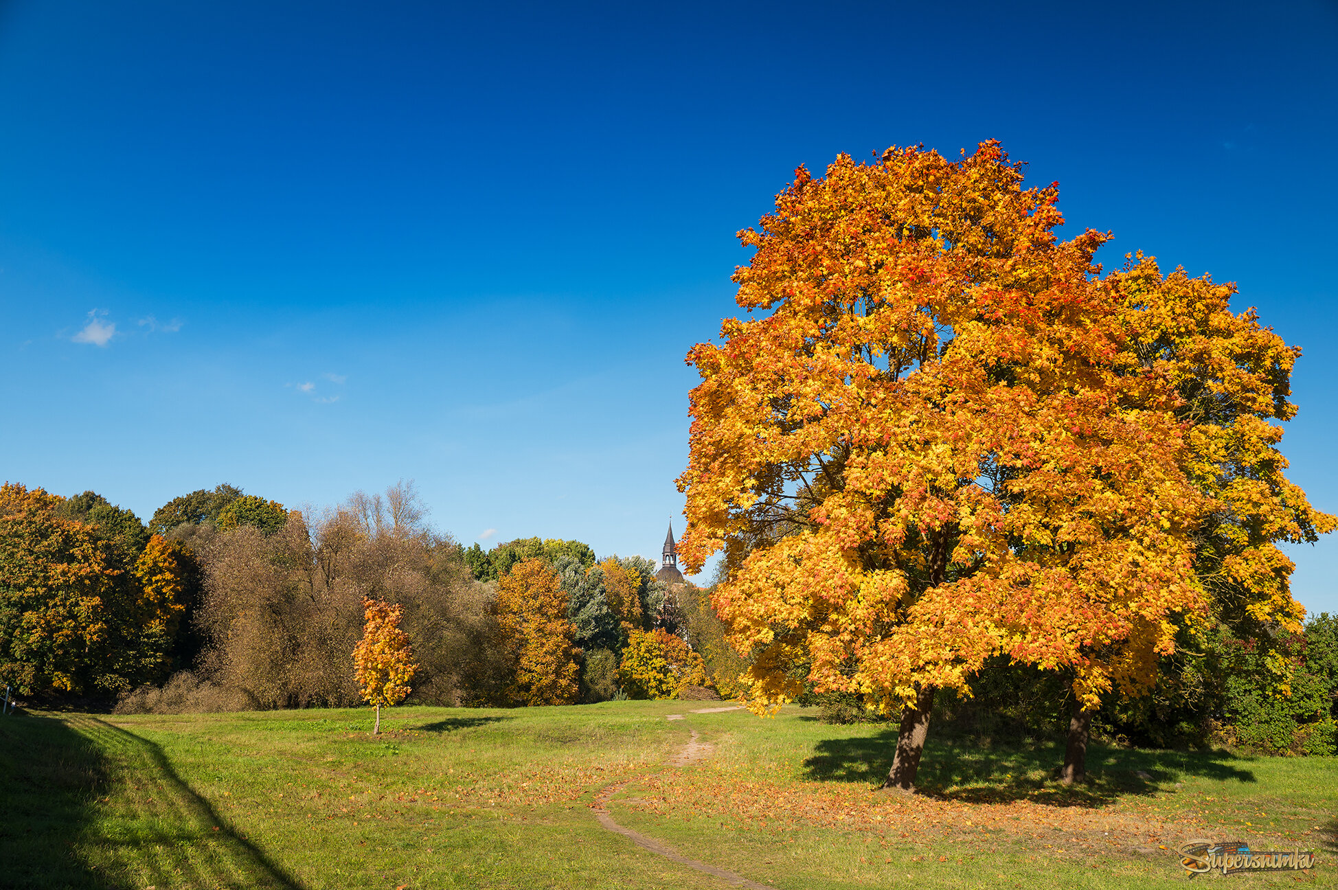 68ea2c8cd53c451465594934