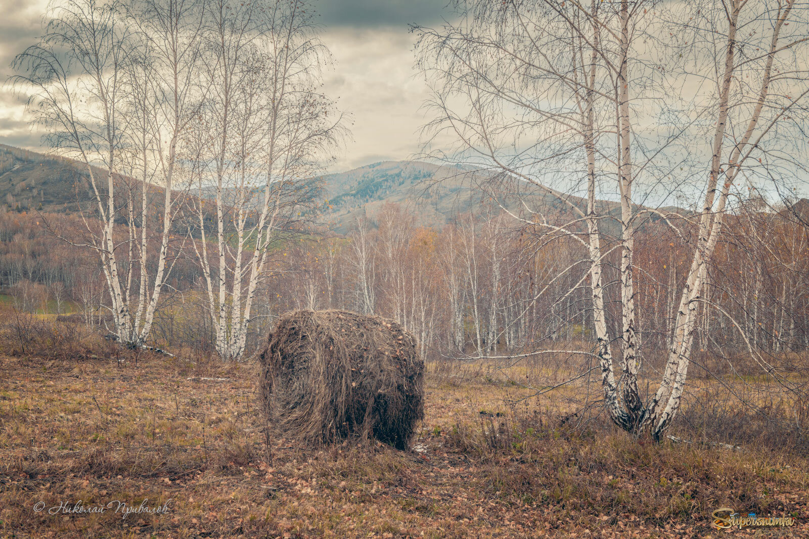 Октябрьский осенний день.