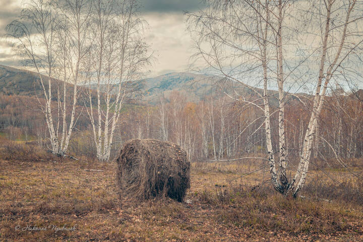 Октябрьский осенний день.