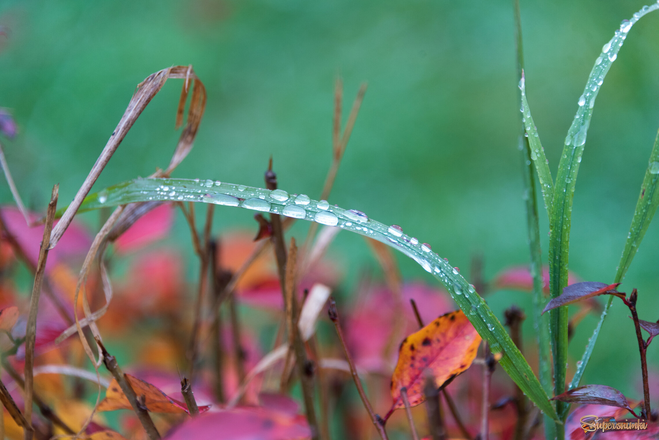 Осенняя погода.