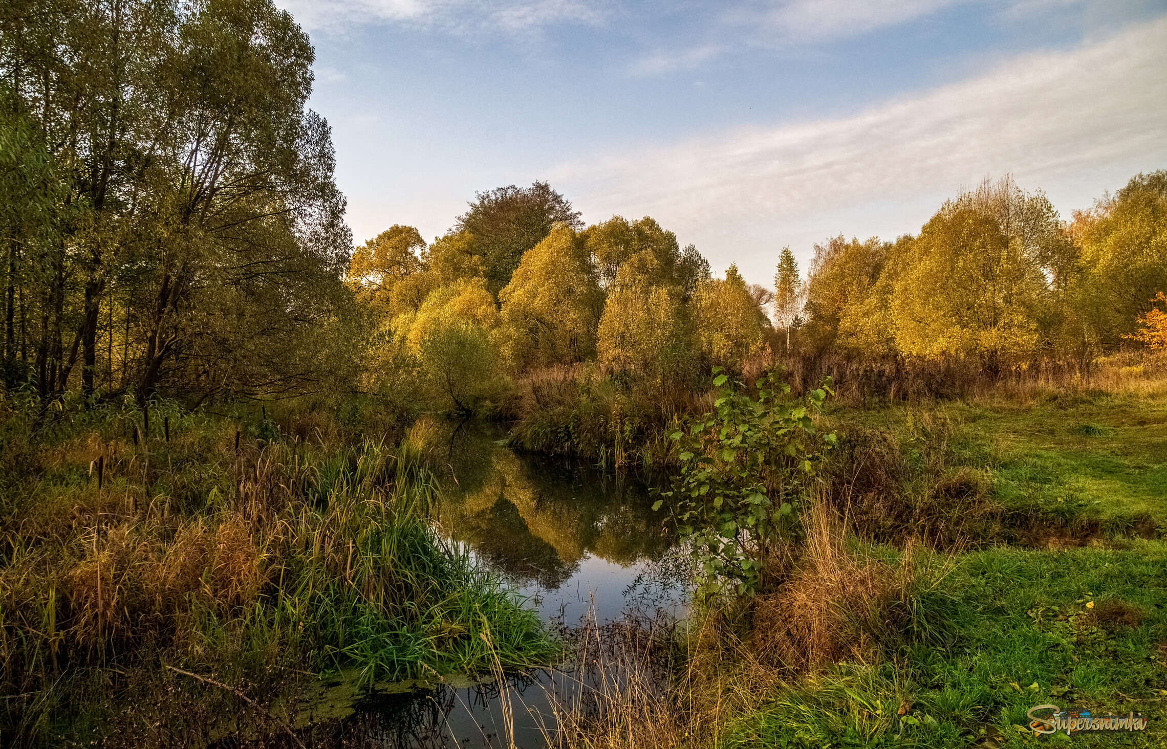 Осеннее утро 