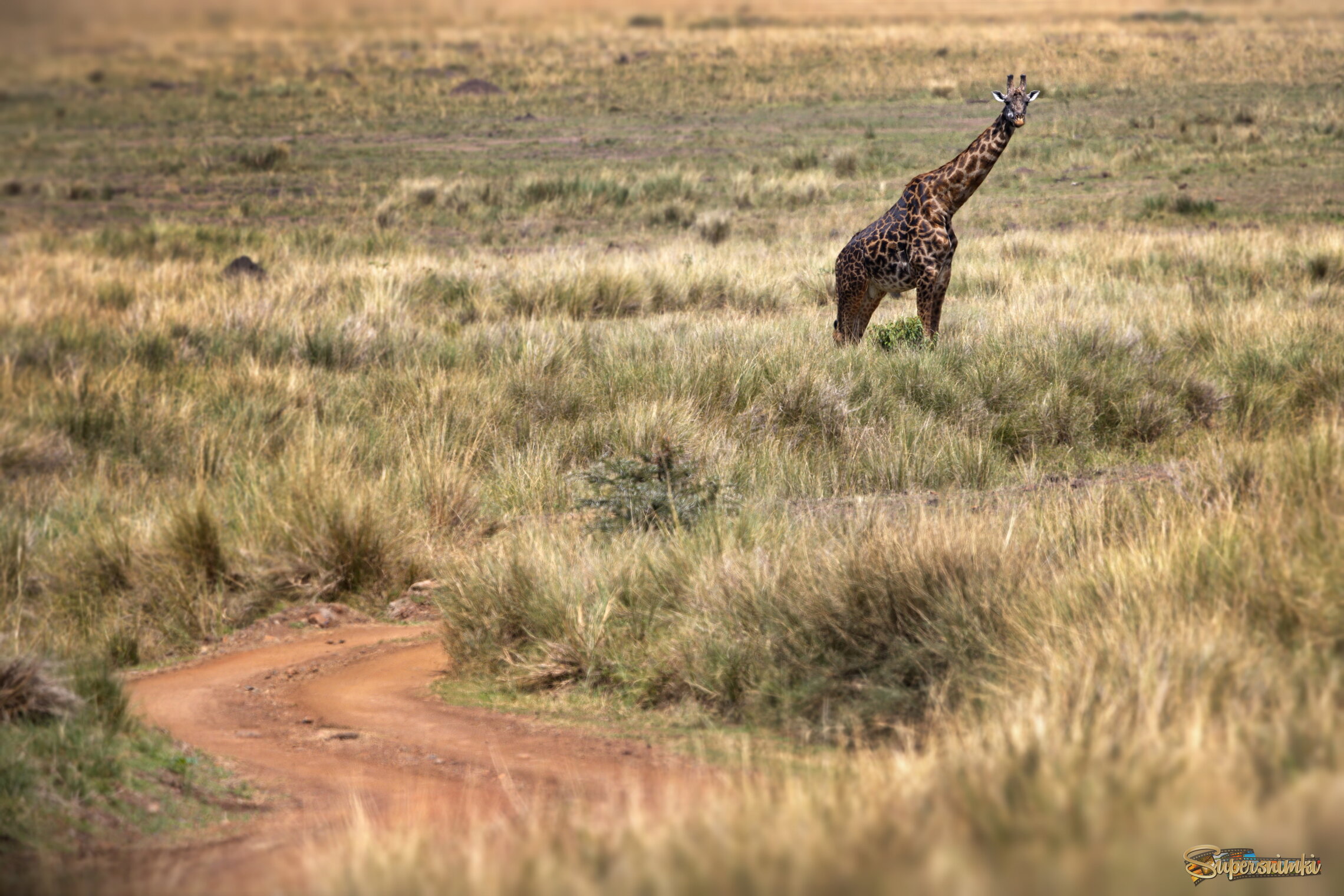 За поворотом