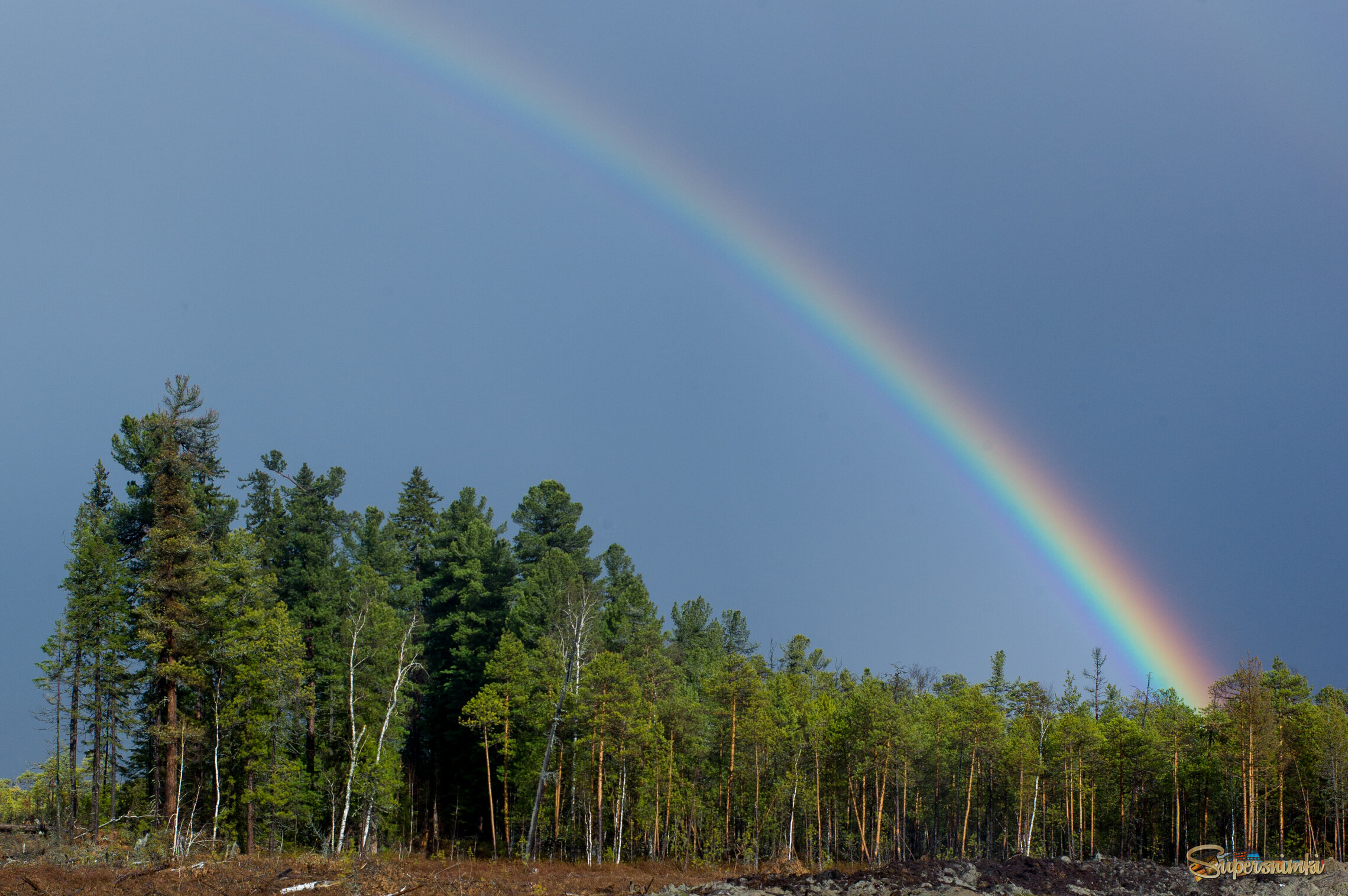 Большое Васюганское болото***