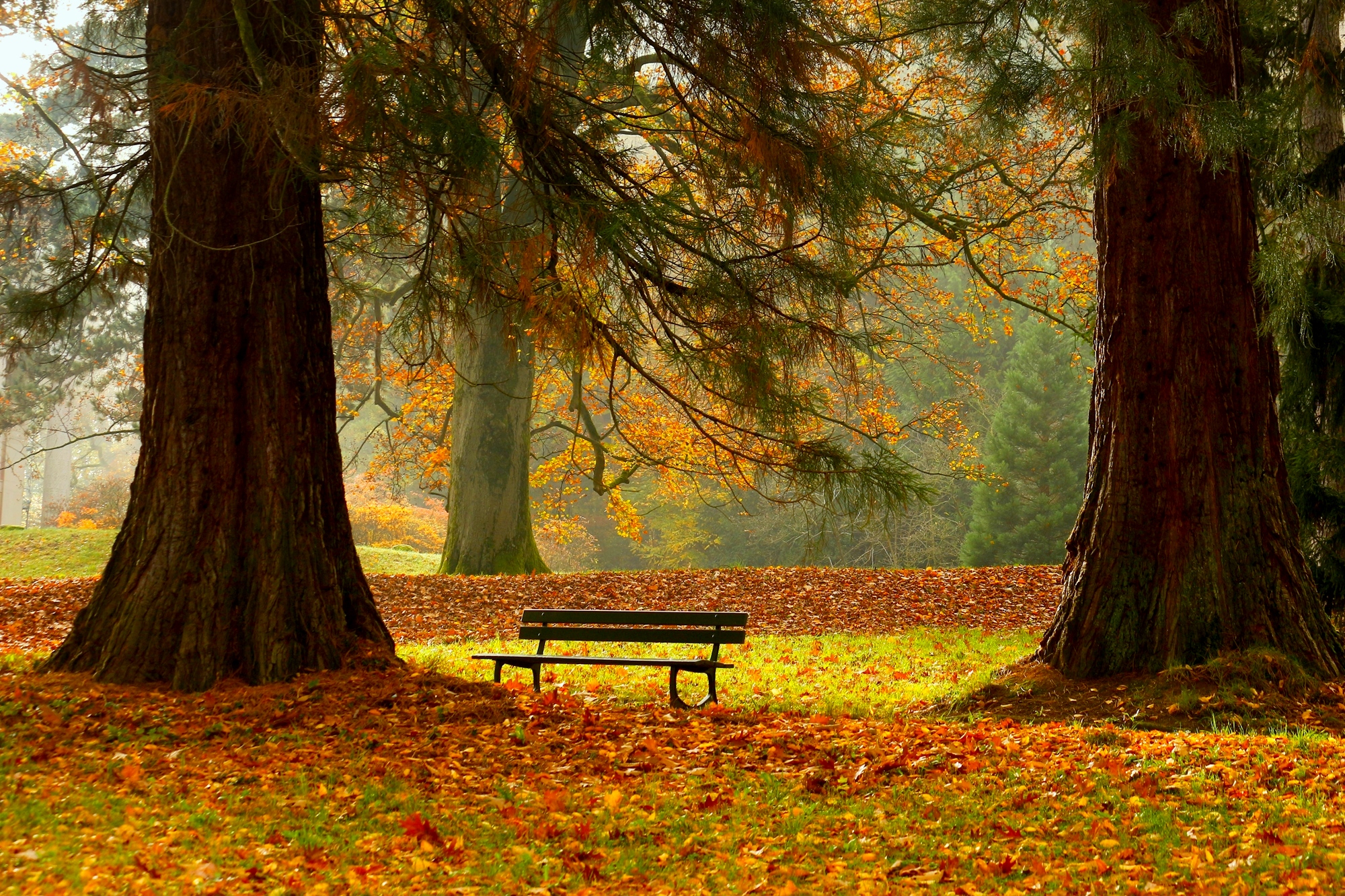 Осенняя скамека