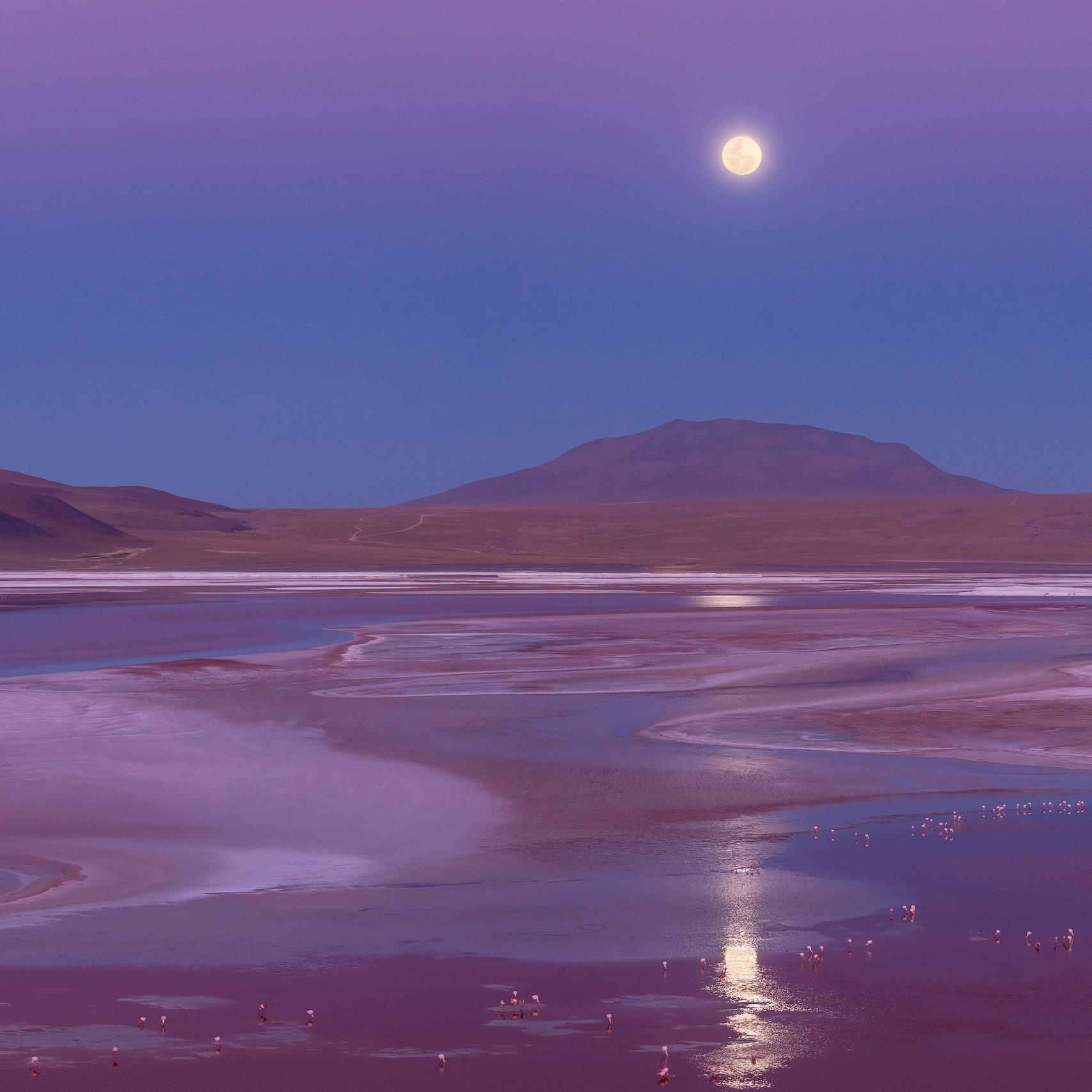 68e9d103e0254bd1d0594933