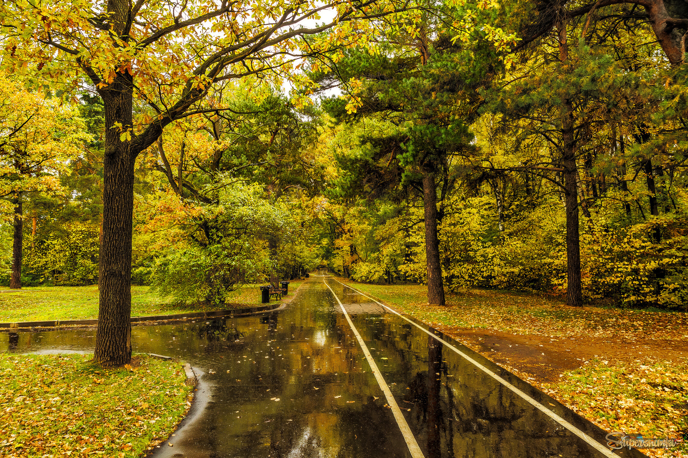 Осенний парк