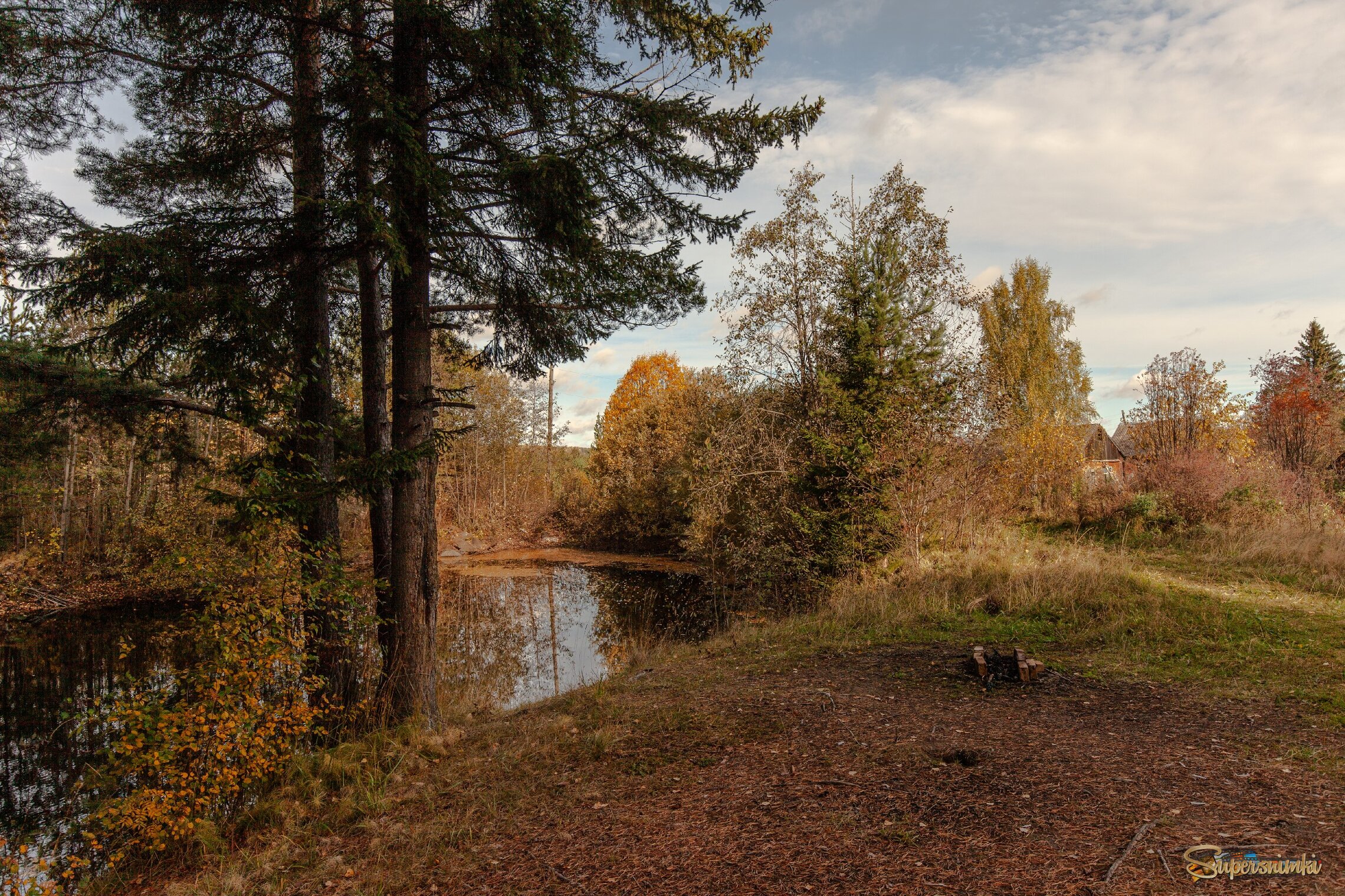 На берегу водоема