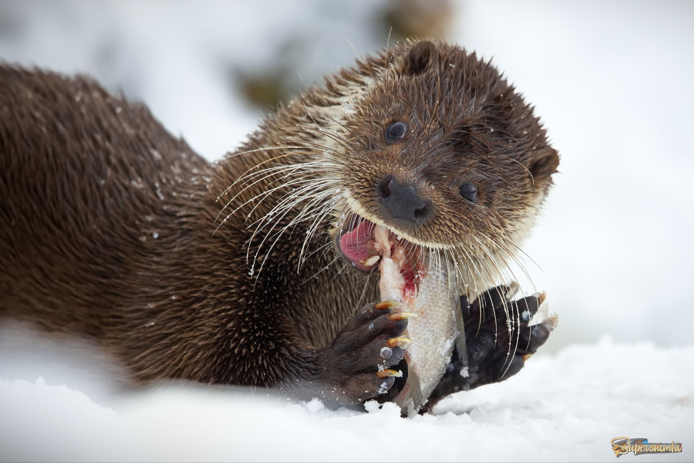 Ох, как вкусно!