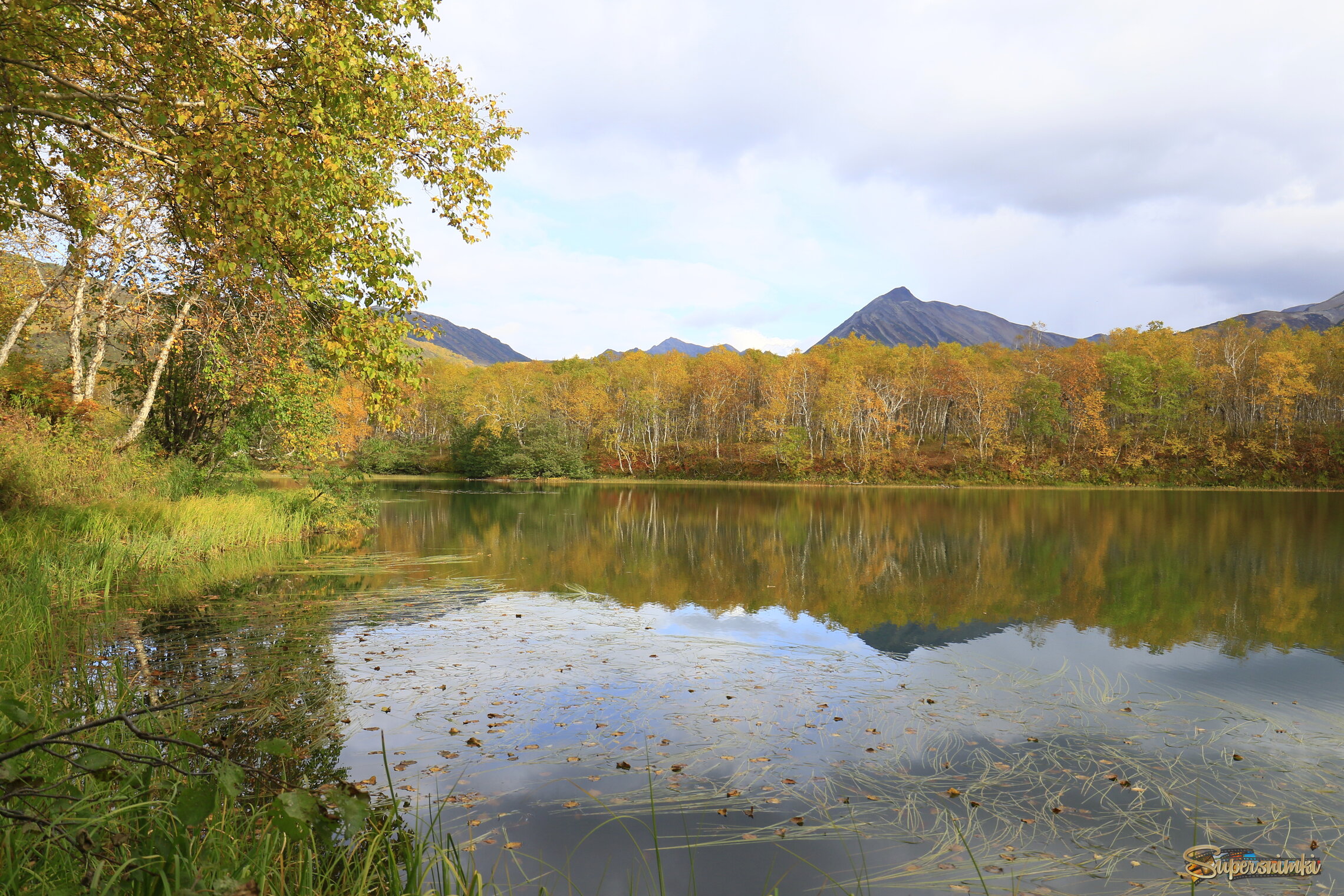 Лесное озеро