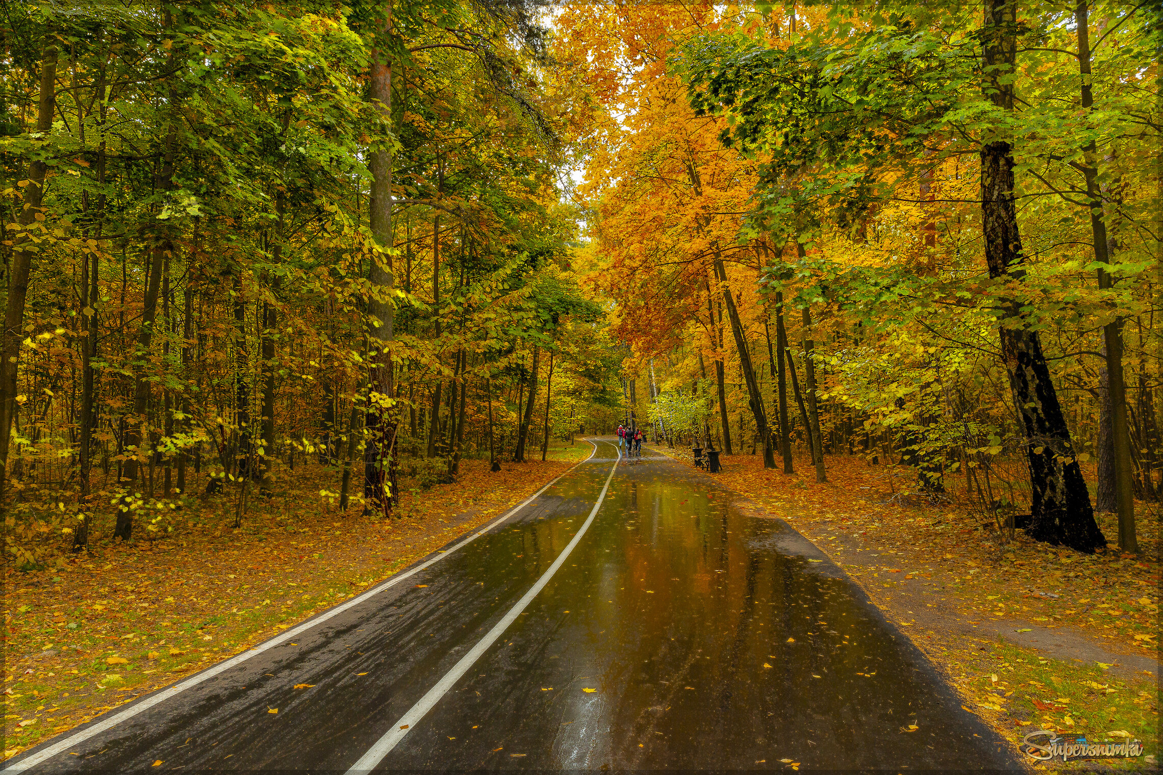 Осень в парке