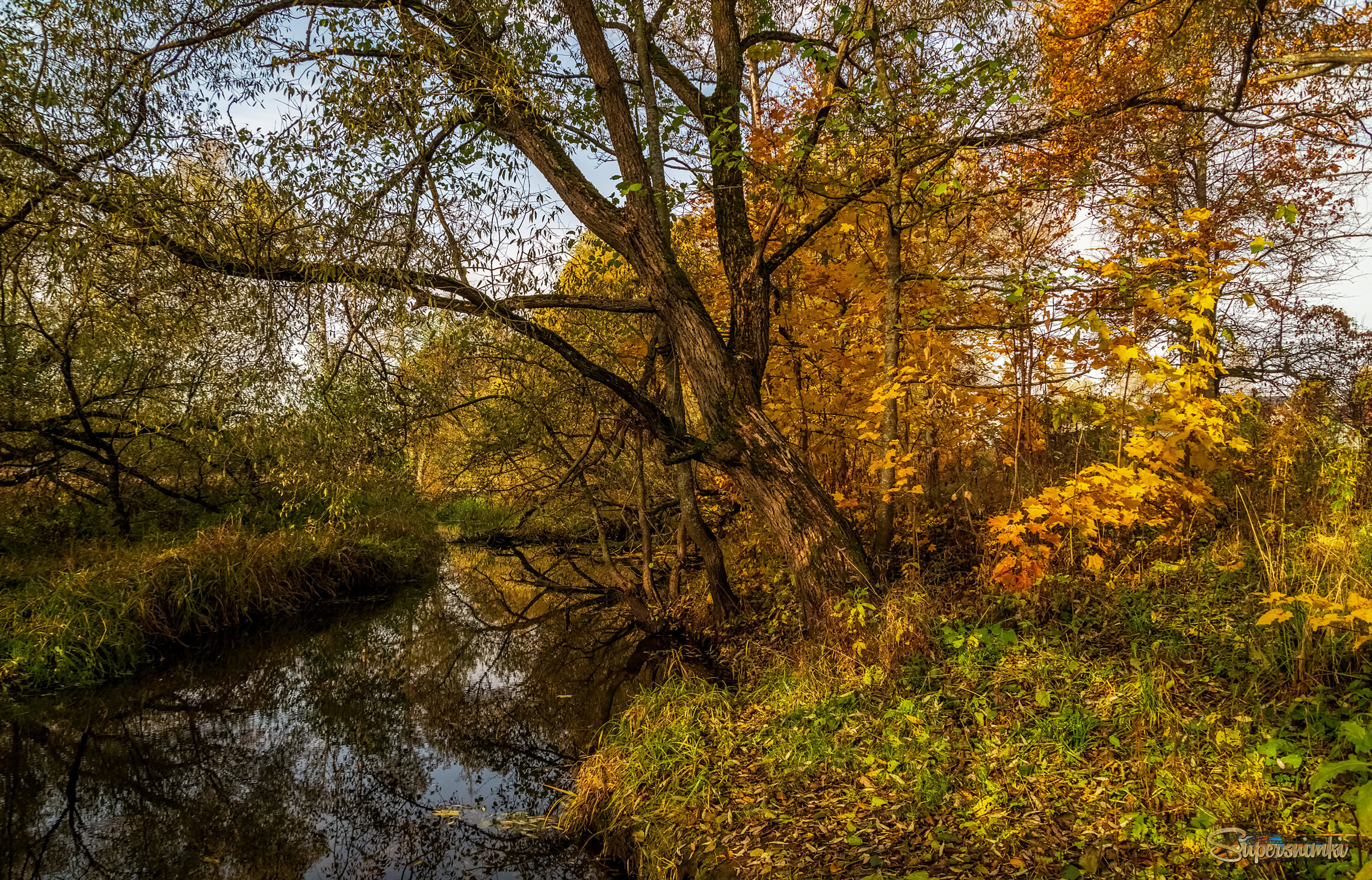 Осеннее утро 2