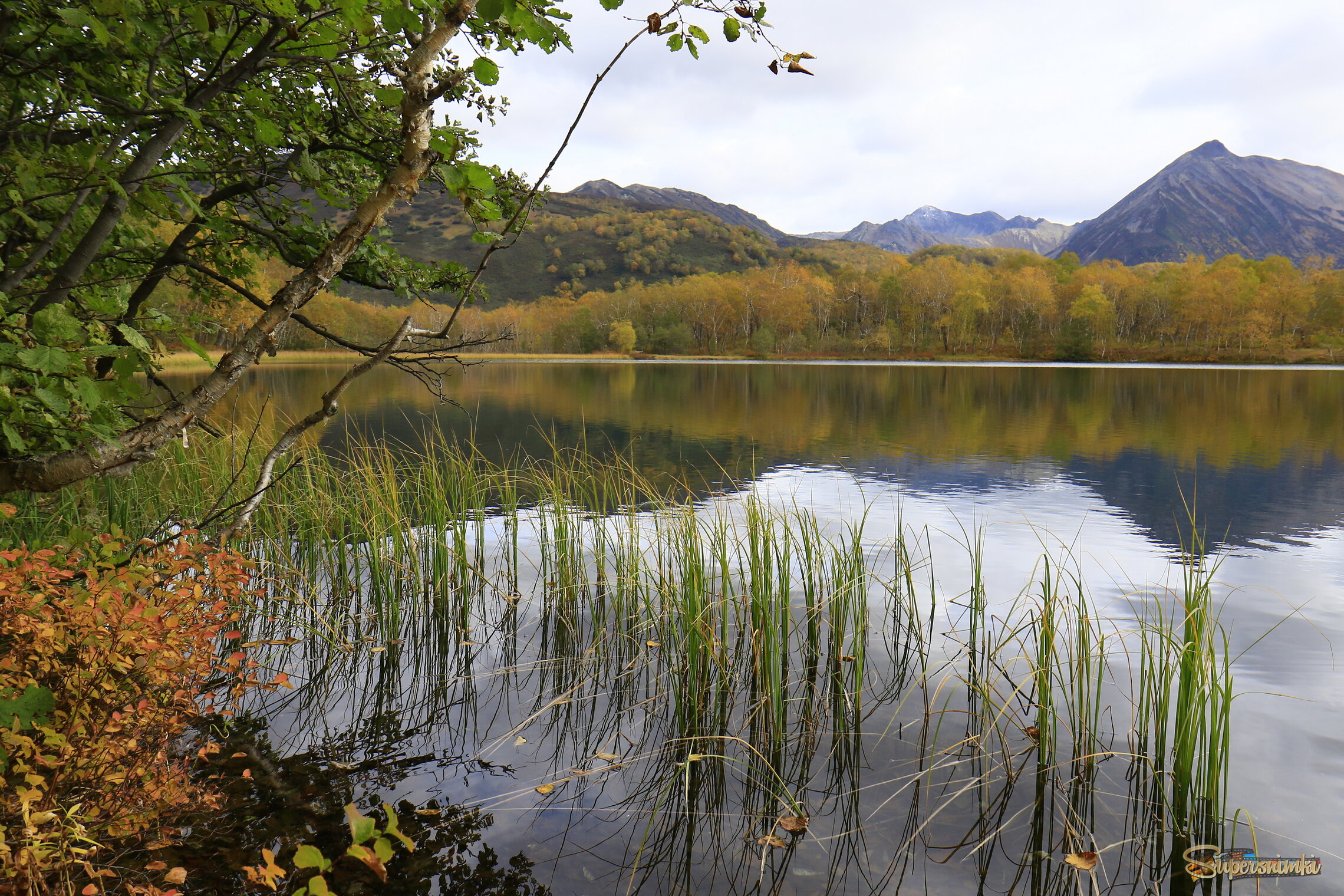 Золотая пора