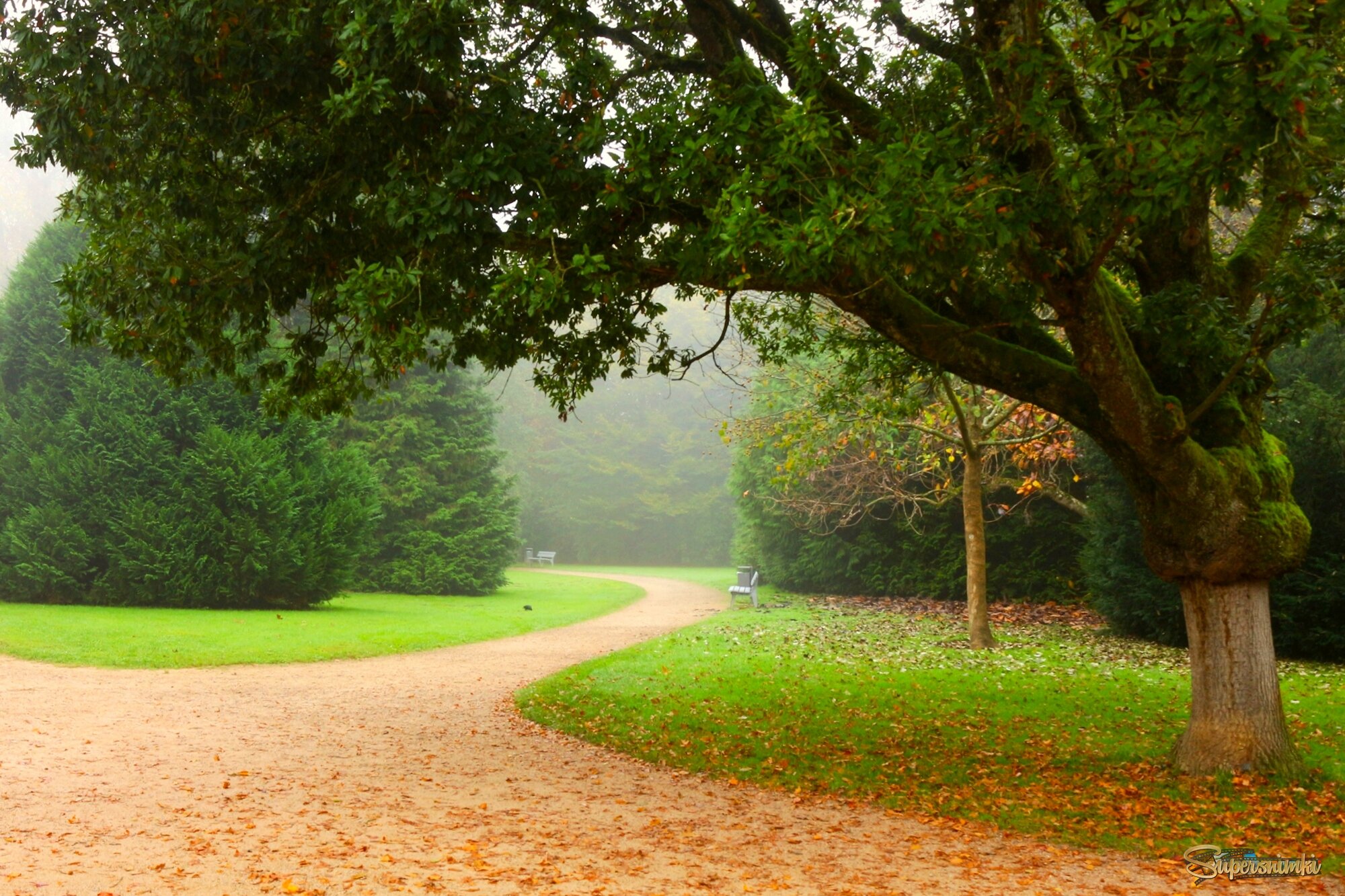 Осенние дорожки