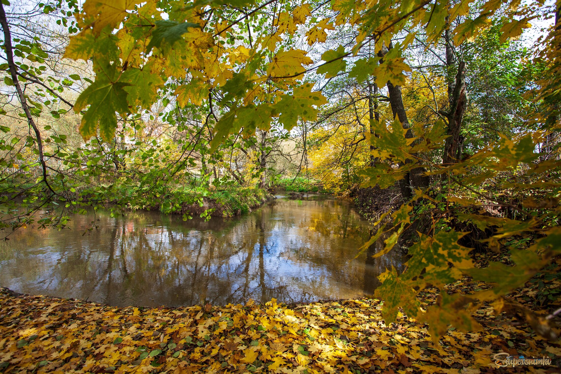 Подмосковье. Октябрь на реке Битца