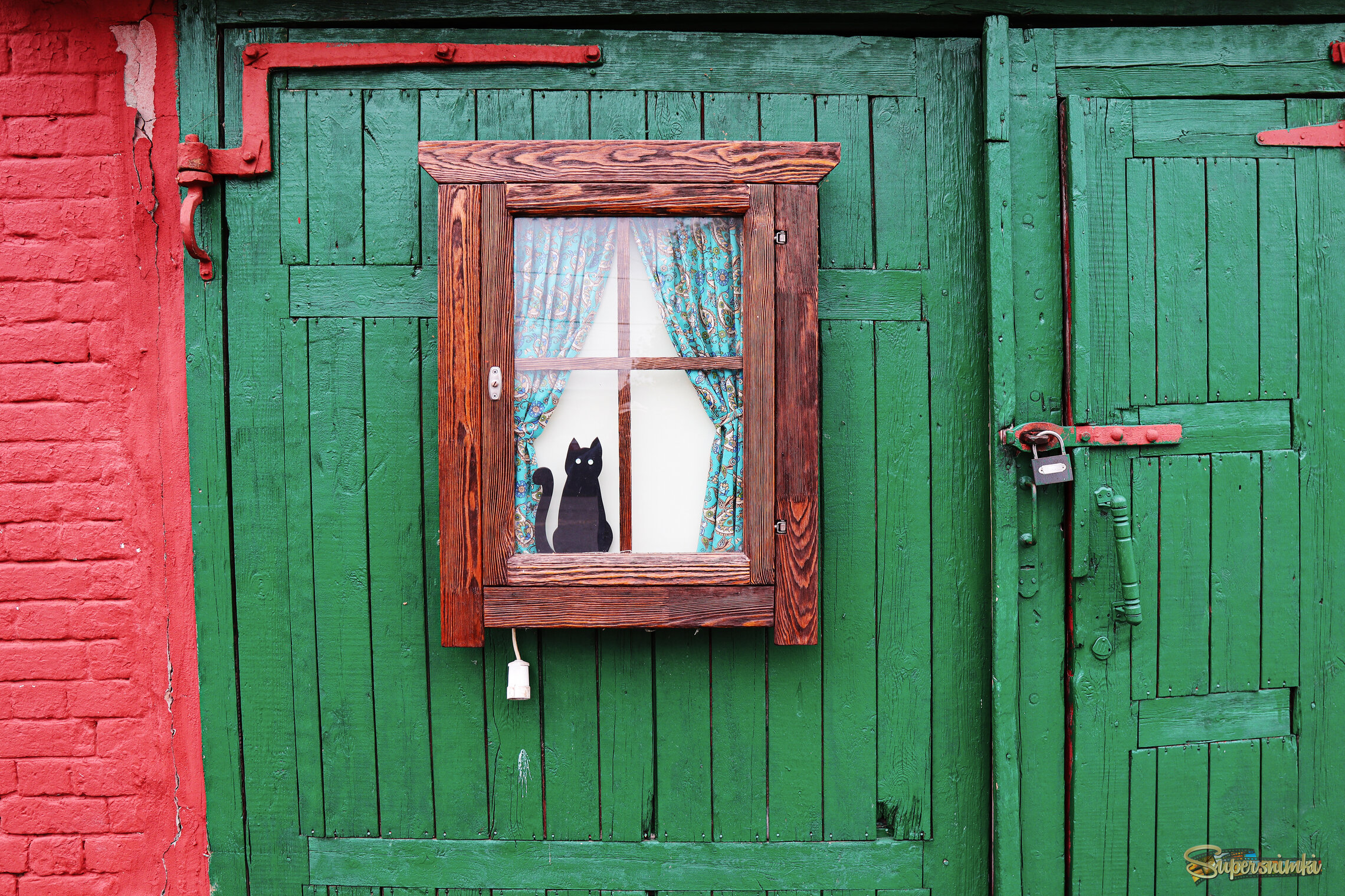 Котика в ленту