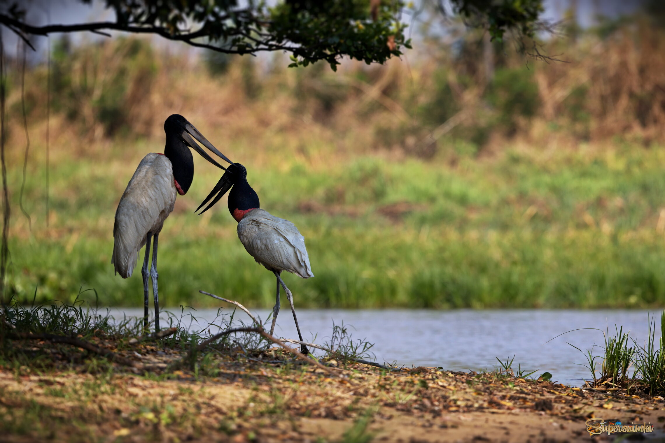 Давай договариваться на берегу!