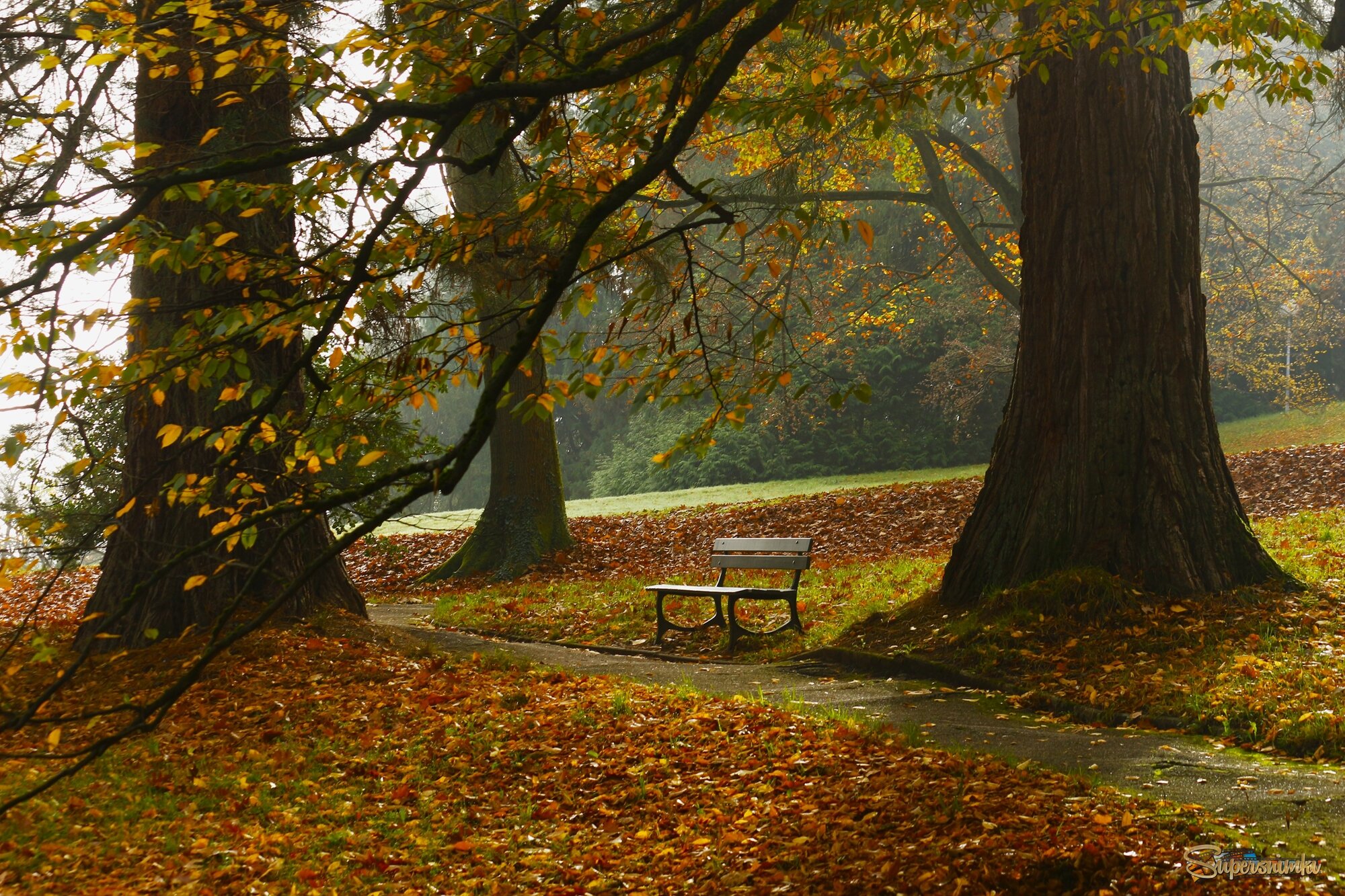 Скамейка осени