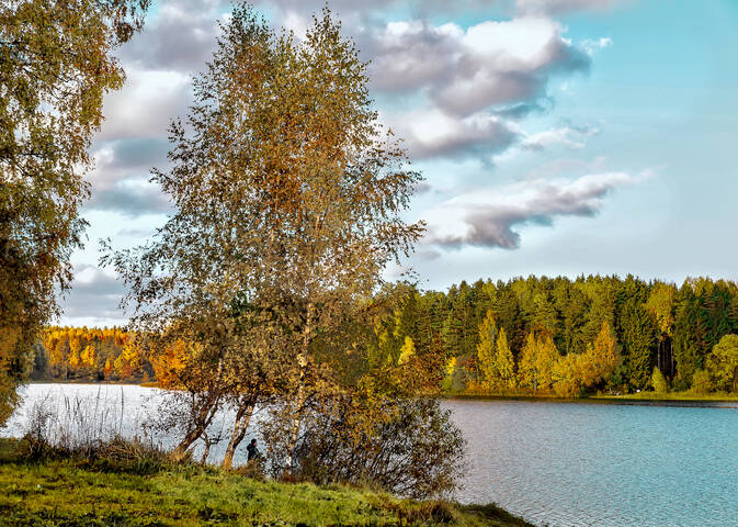 На рыбалке