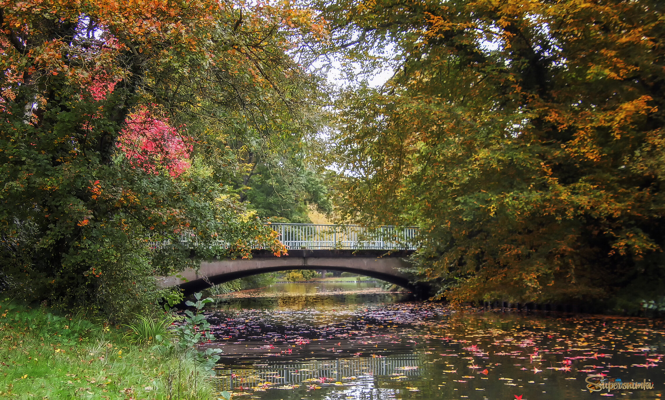 Краски осеннего парка