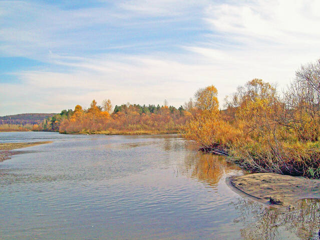 # 5