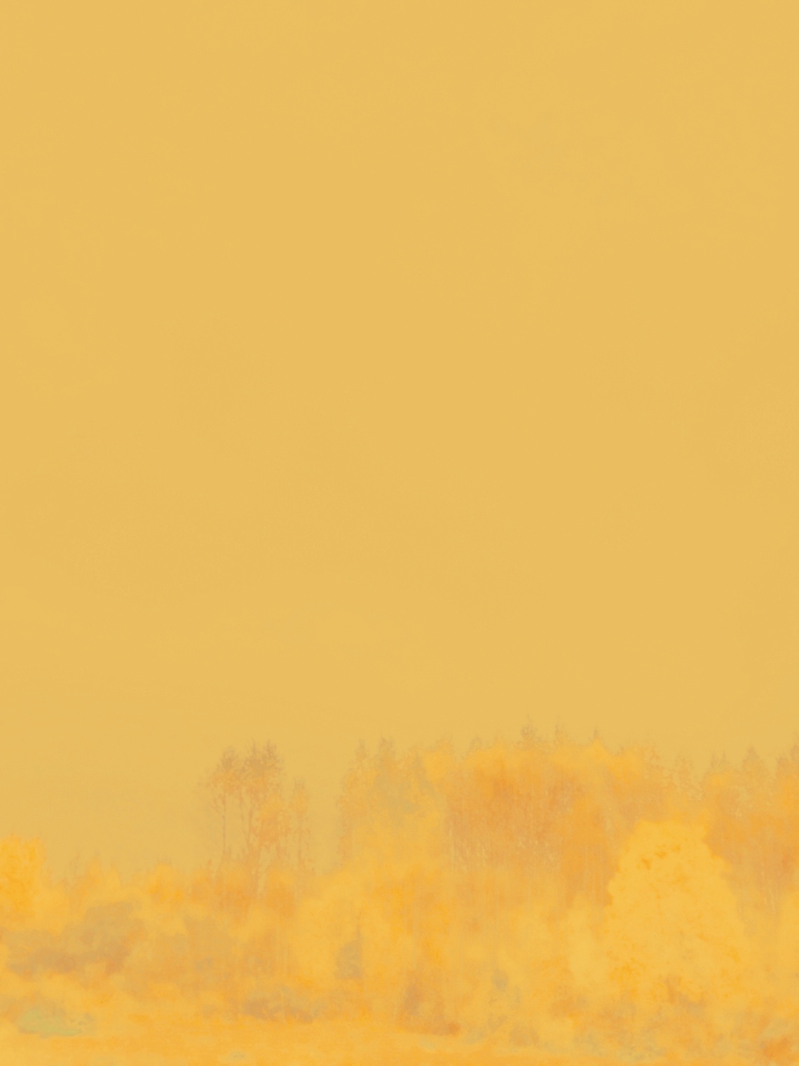 туман снаружи и внутри