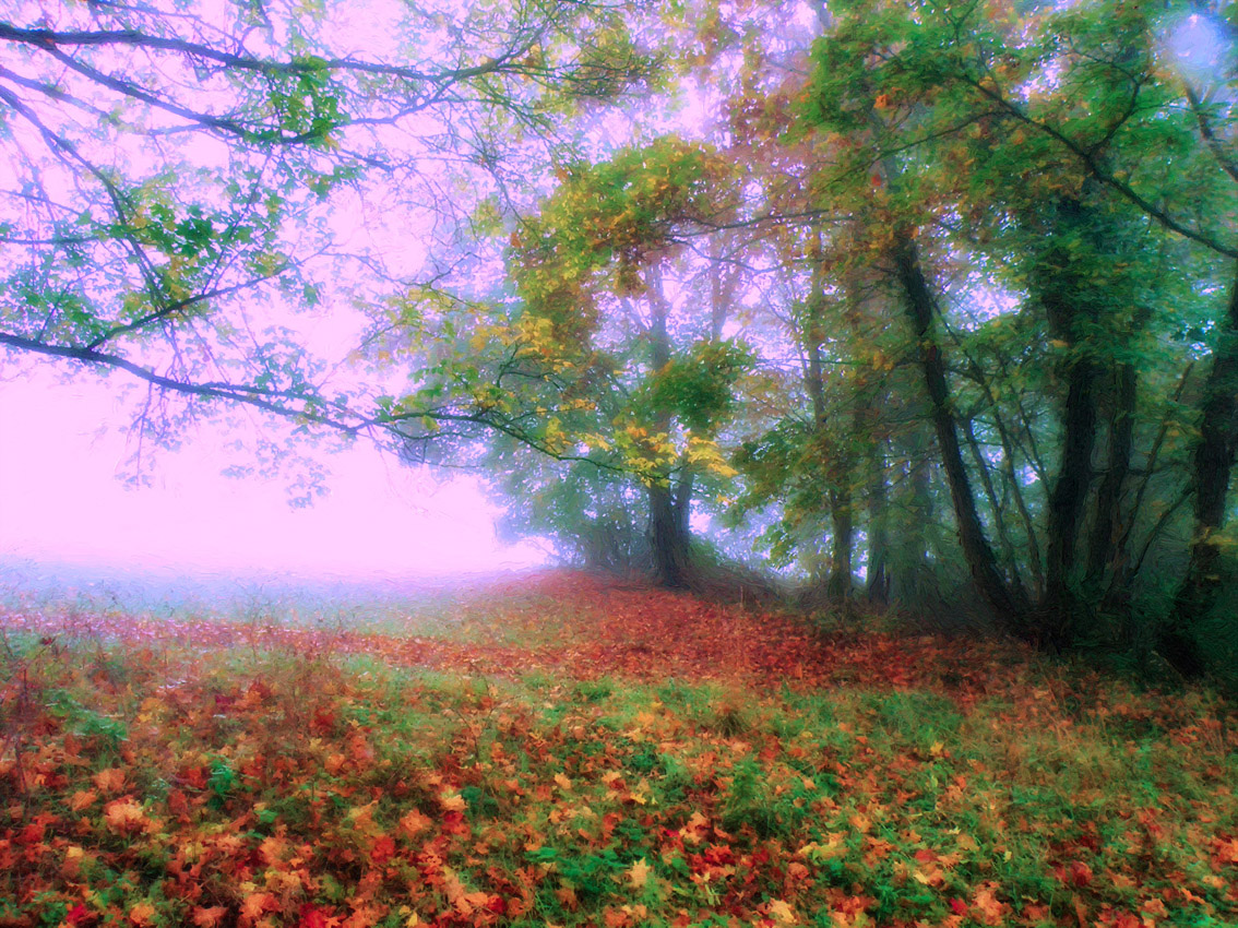 Цветные туманы.