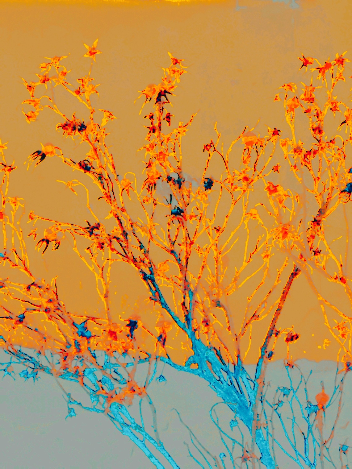 бекар диеза и бемоля