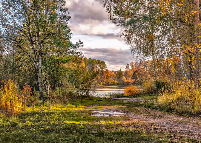 Текущая версия