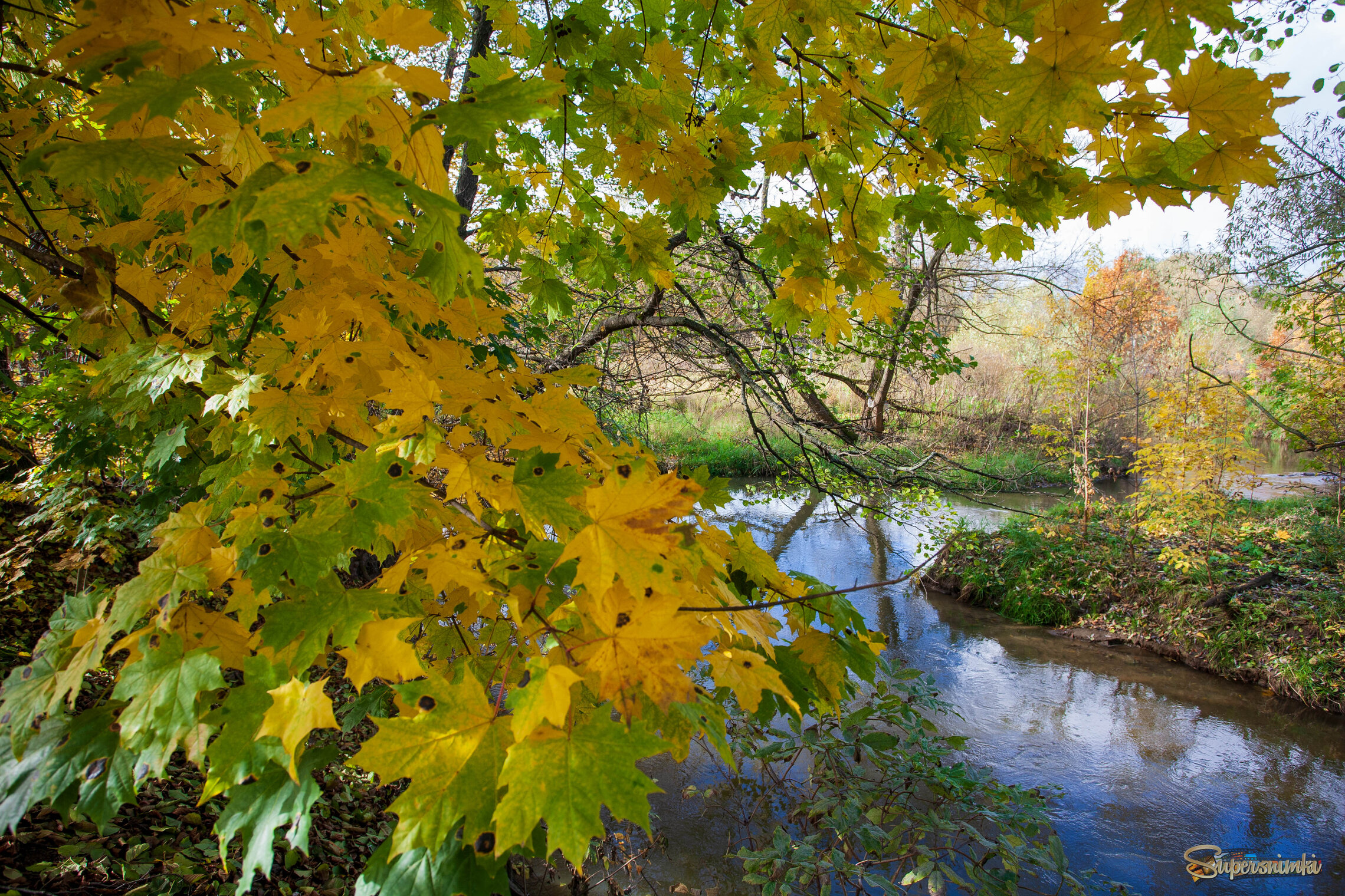 Подмосковье. Уходящая Золотая осень.