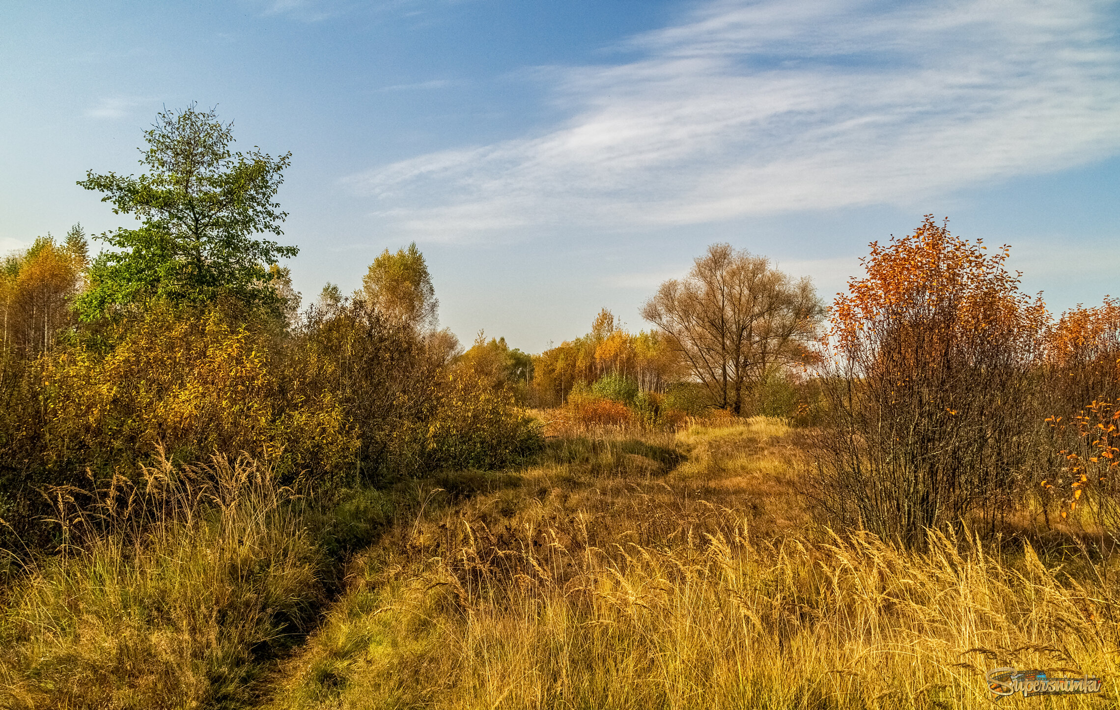 Осеннее утро 4 