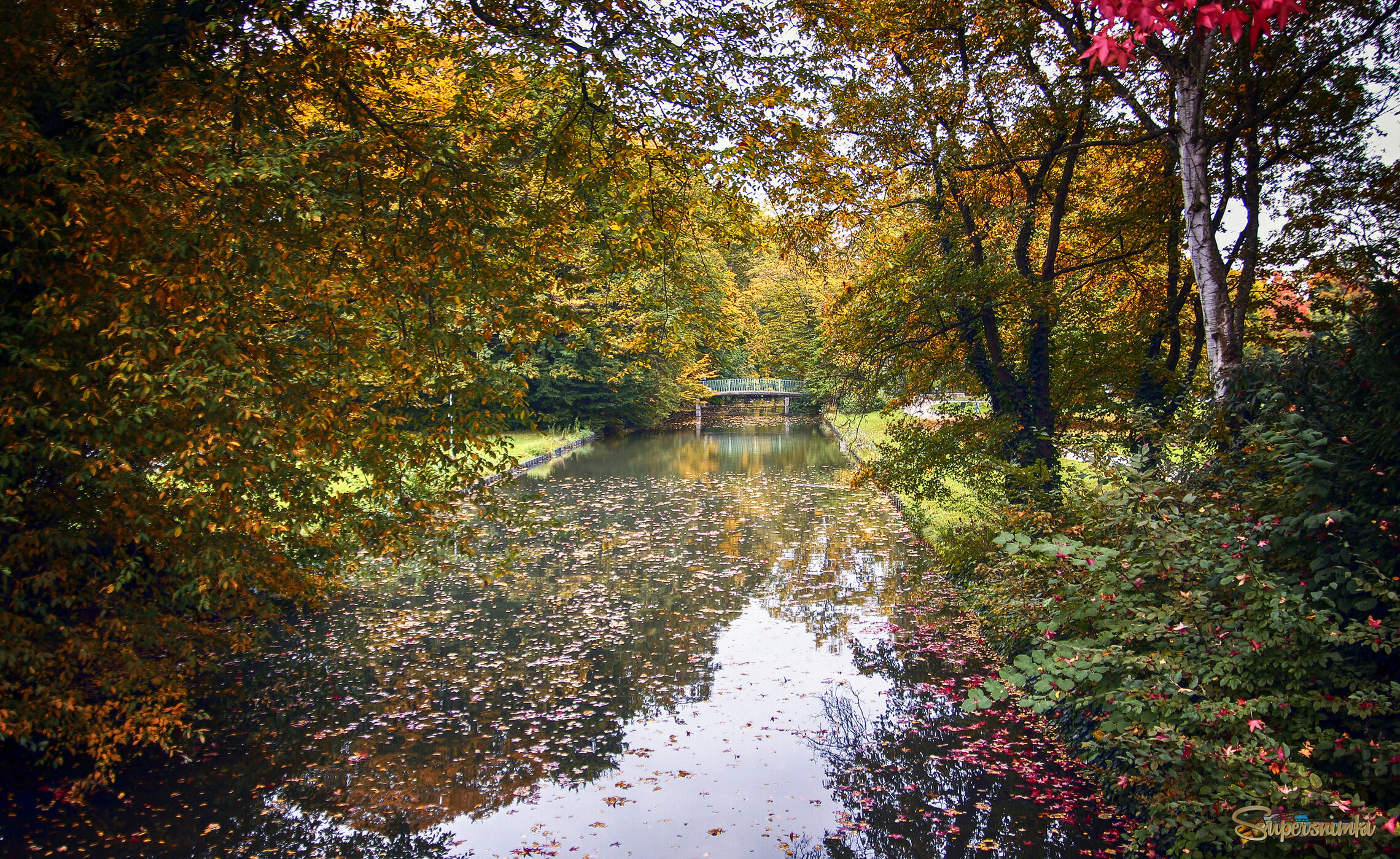 Парки Кельна в октябре