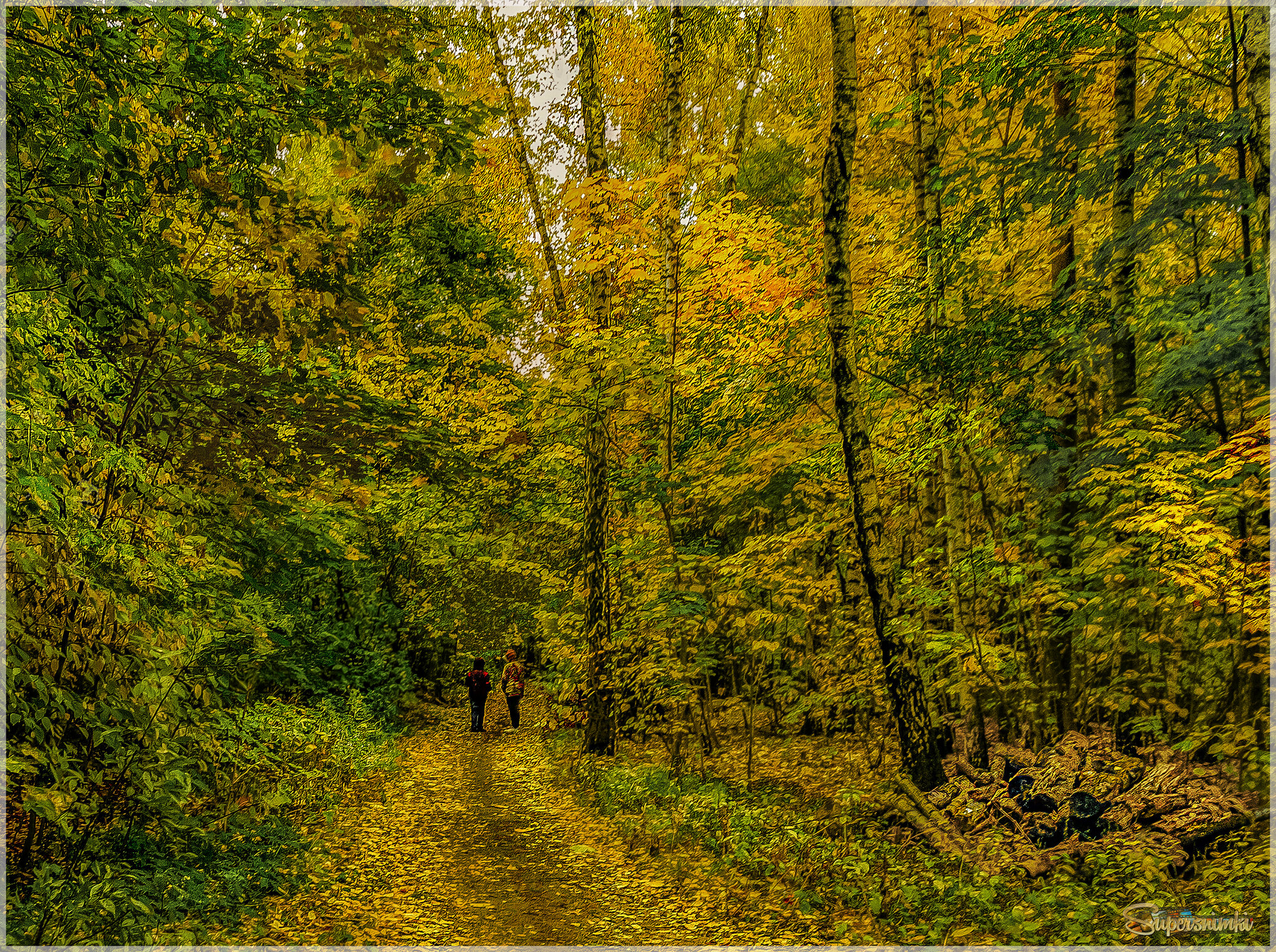 Прогулка в осень