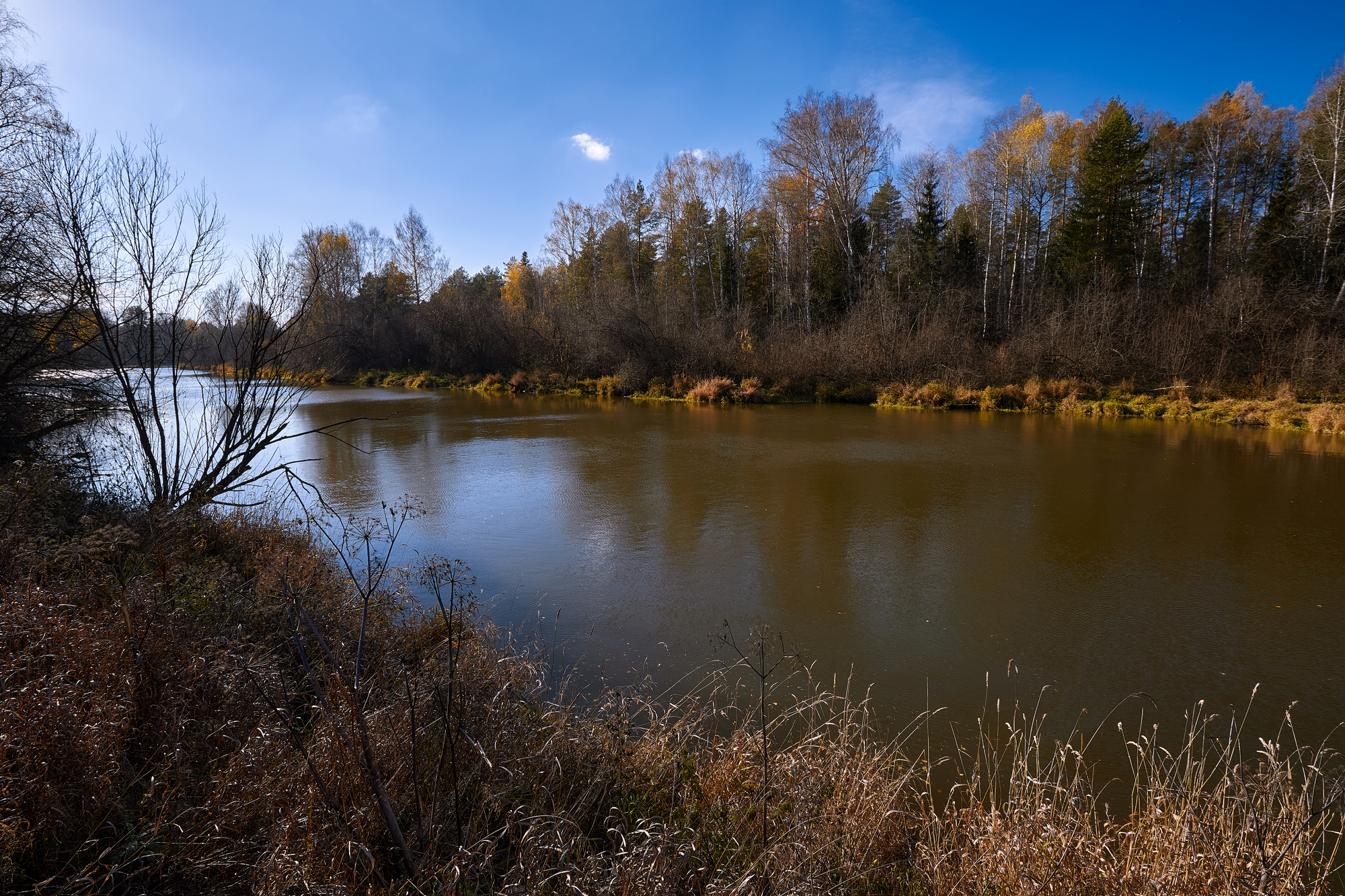Под низким солнцем октября.