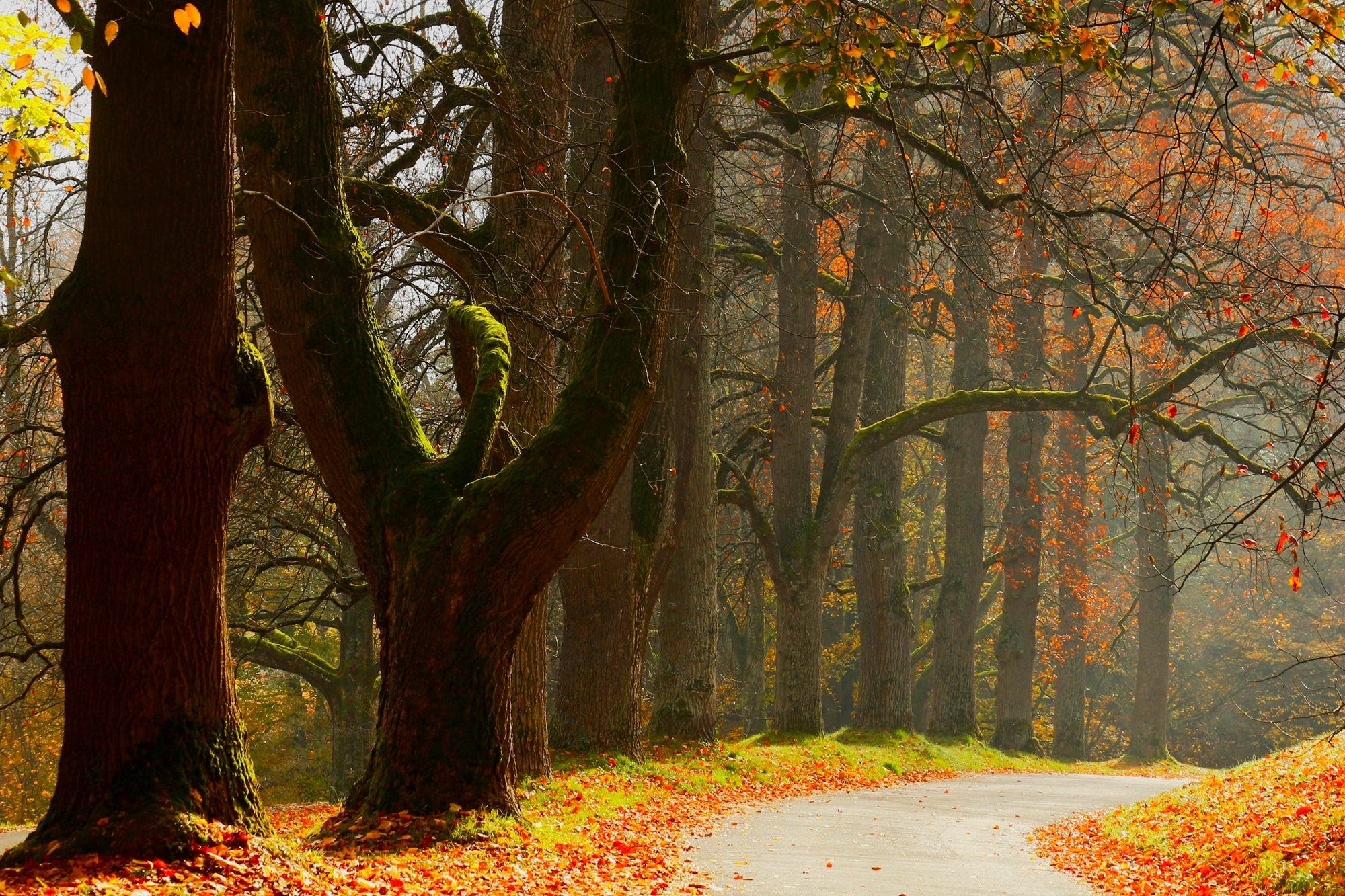 Осенний день