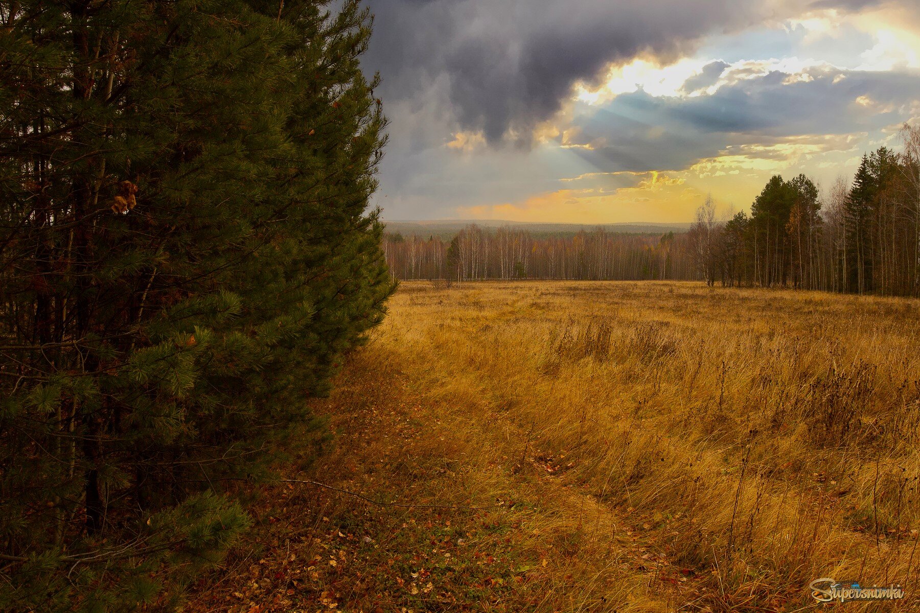 Русское поле