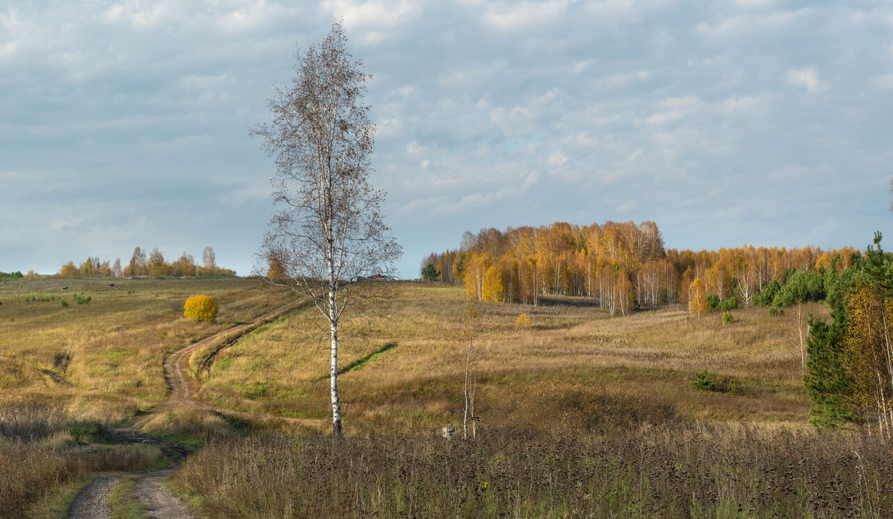 Короткий день.