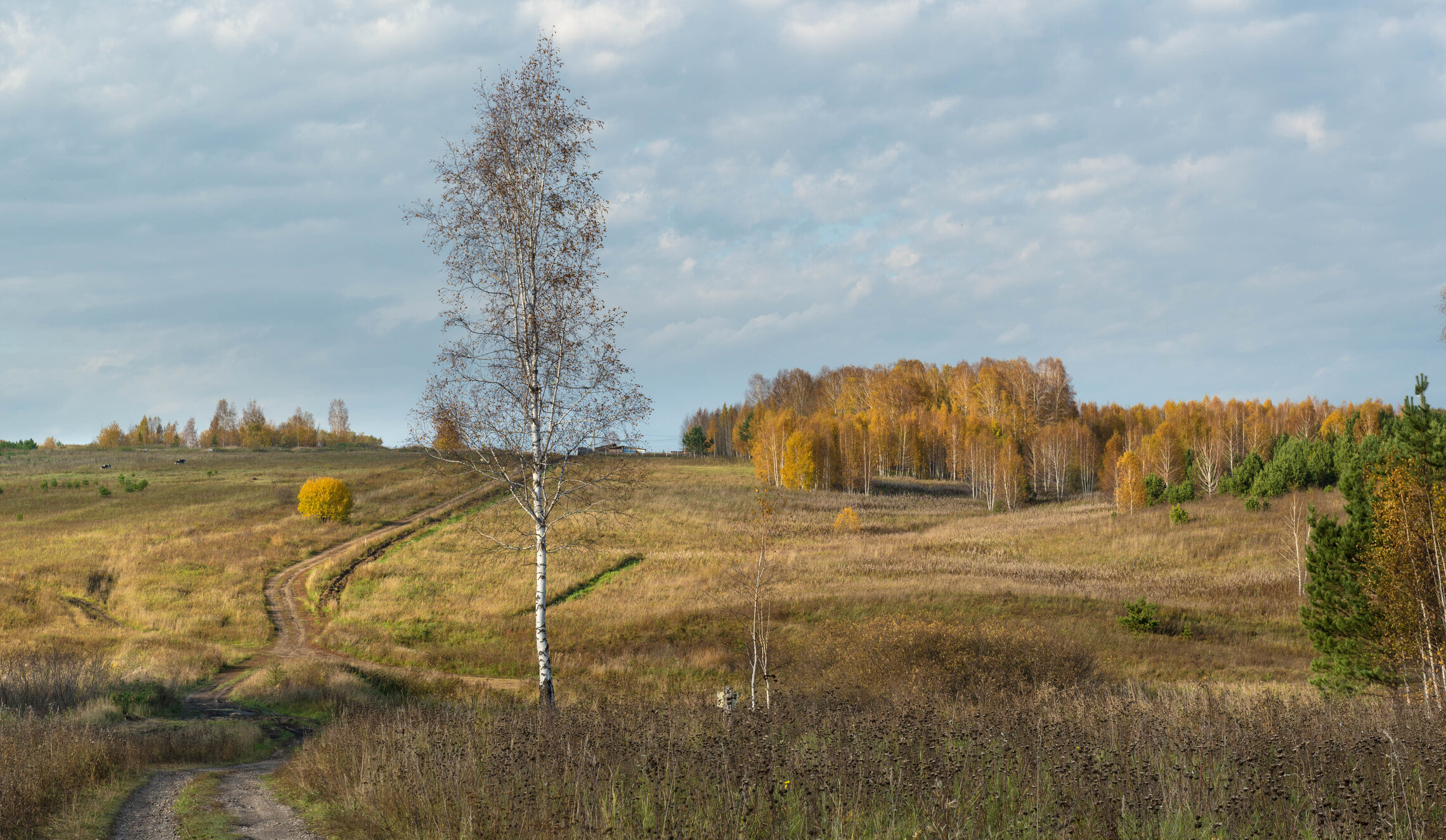 Короткий день.