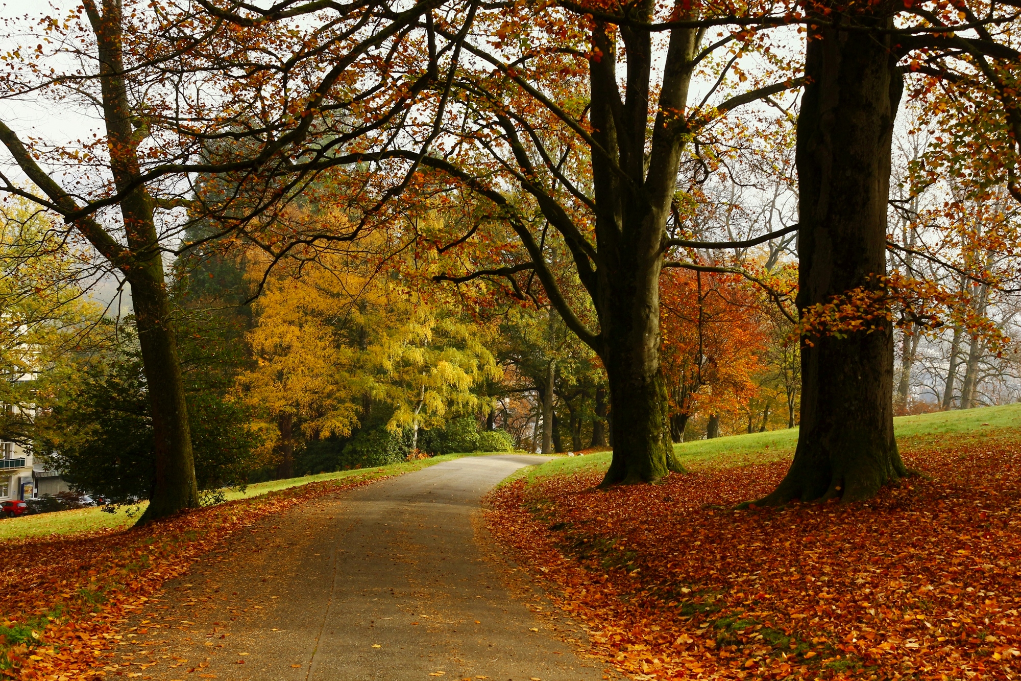 Осенняя дорожка