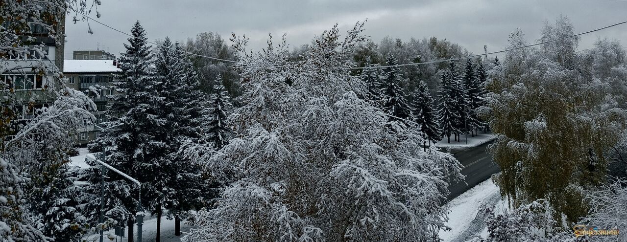 Раннее , снежное утро .