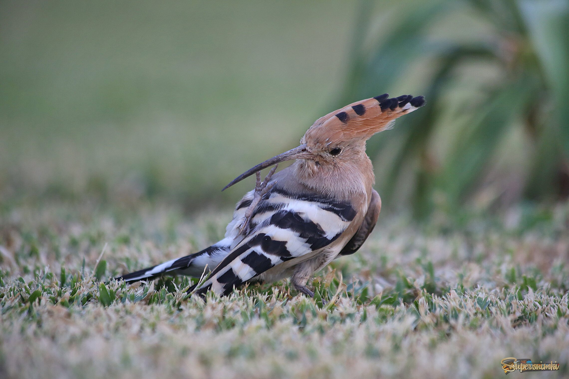 Приводим себя в порядок