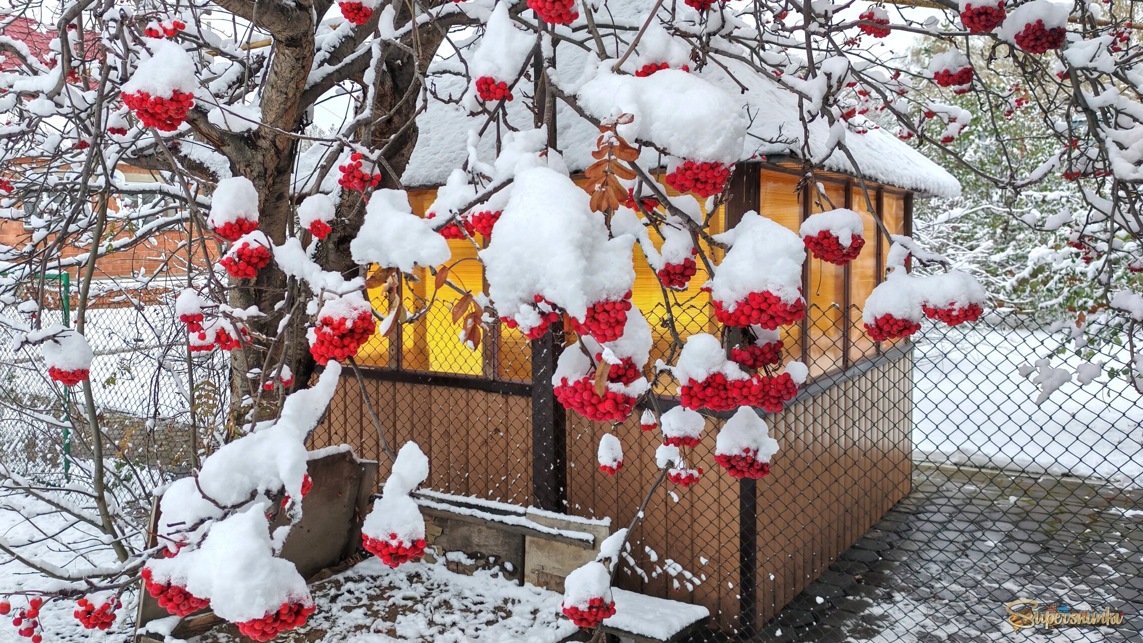 Первый снег 