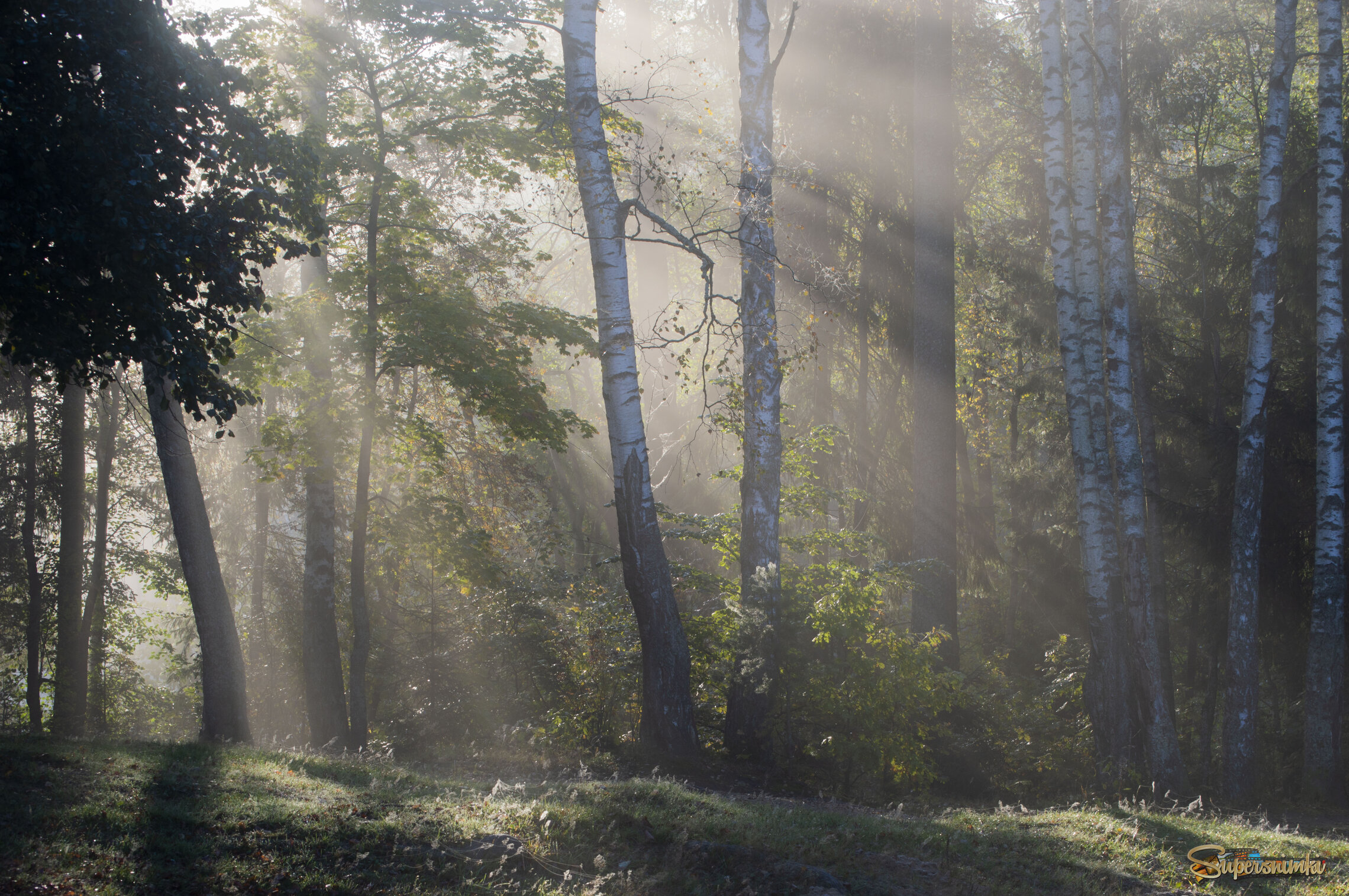 В осеннем свете..........