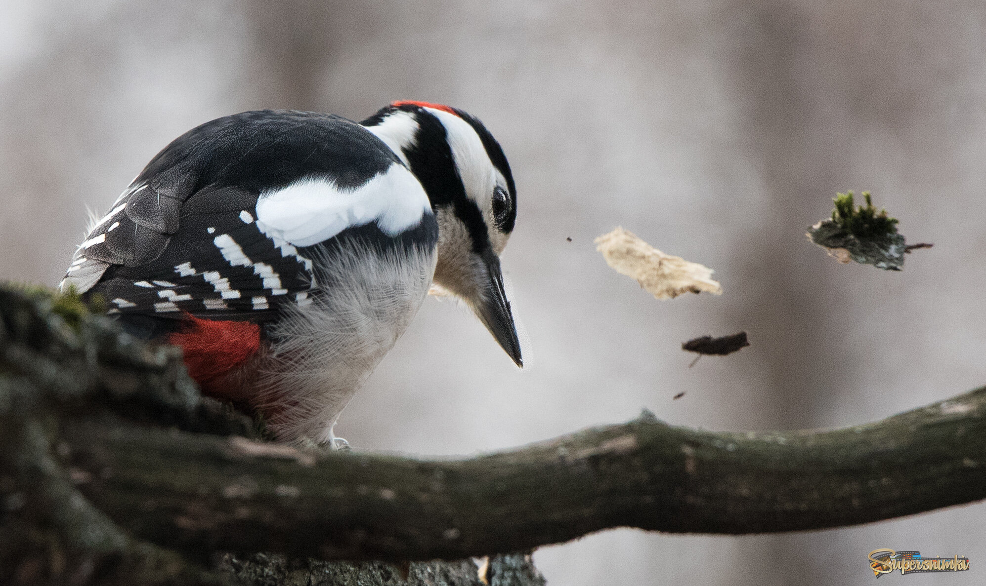 Только щепки полетели!
