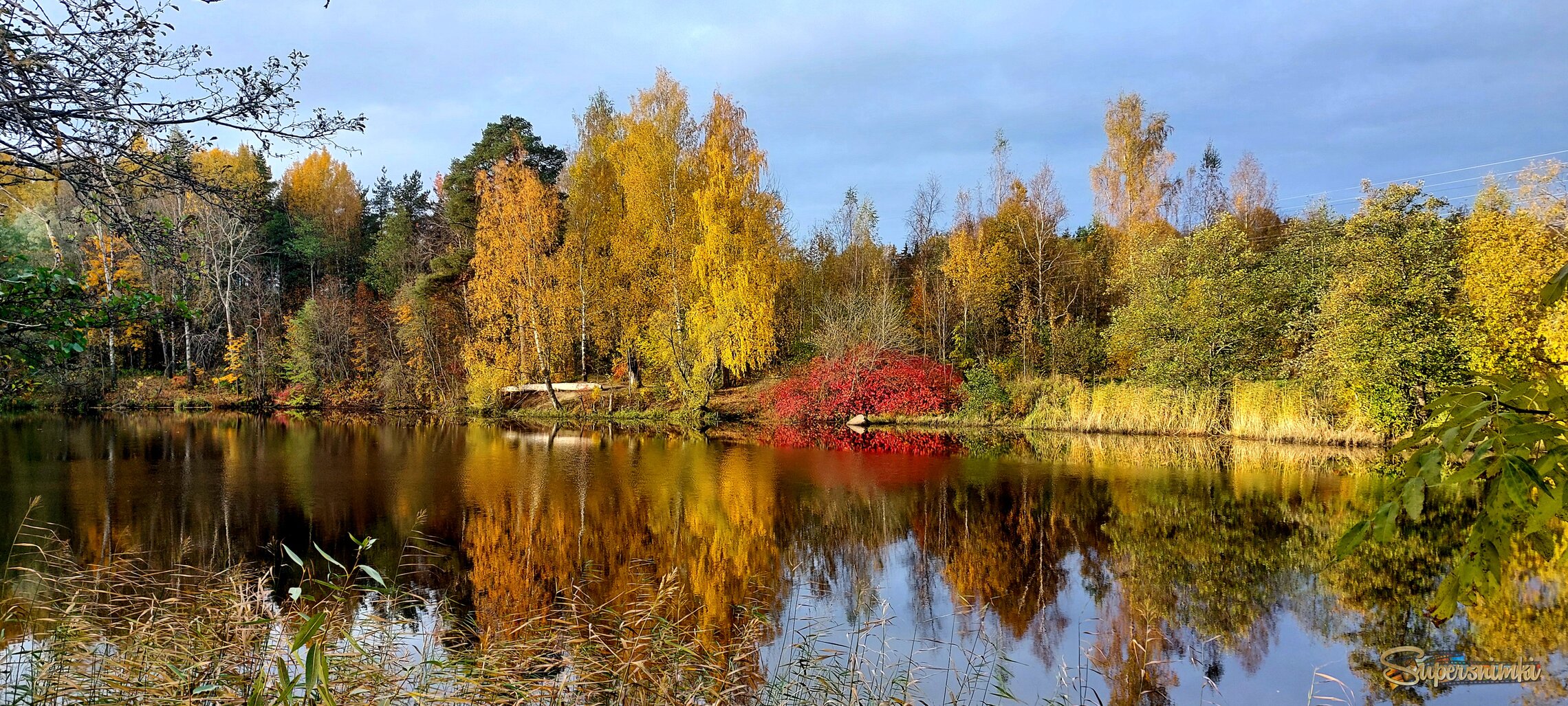 Осенняя раскраска